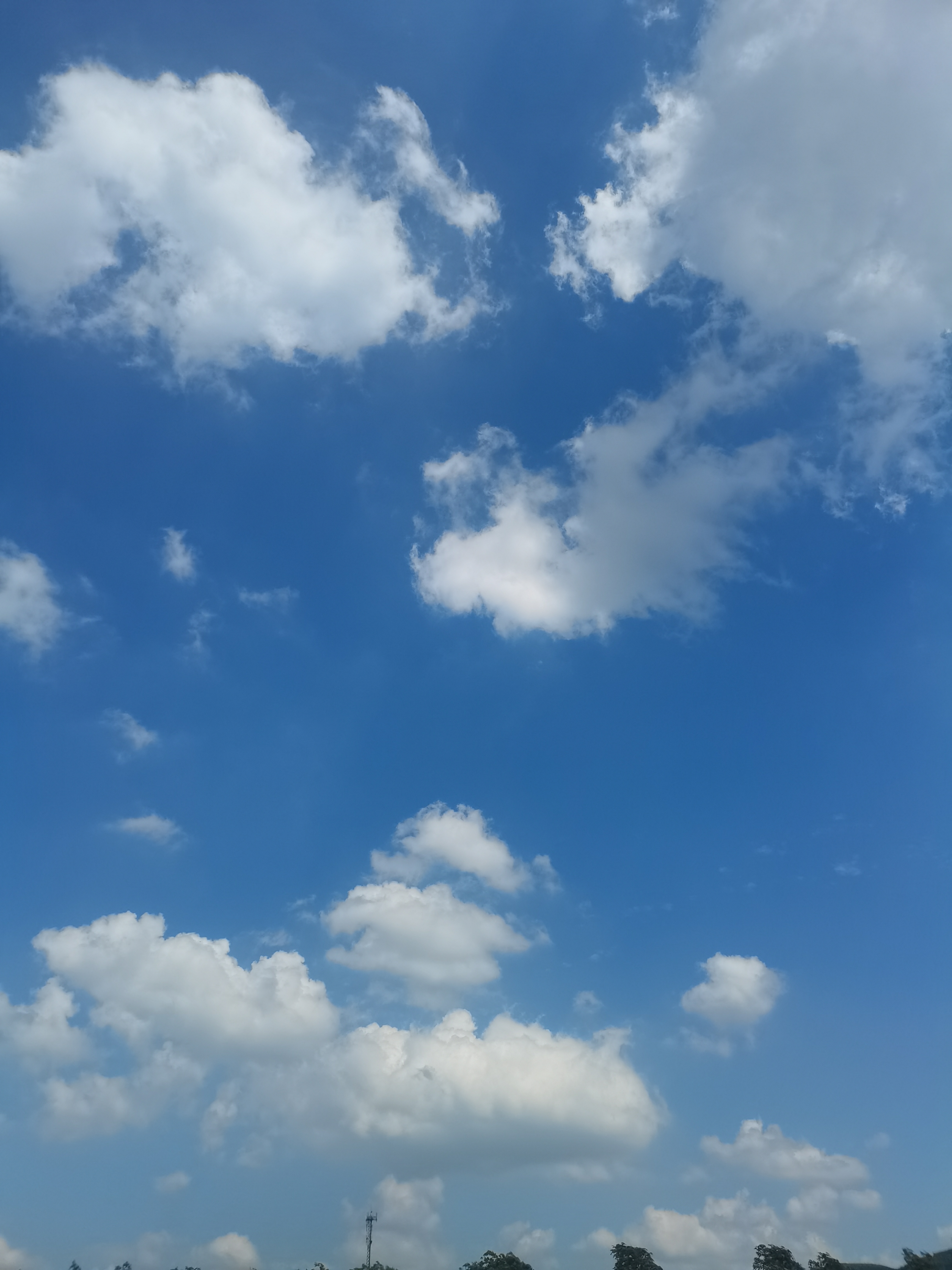 天空高远,云朵悠闲,秋高气爽心情也如这天气般渐渐宁静.