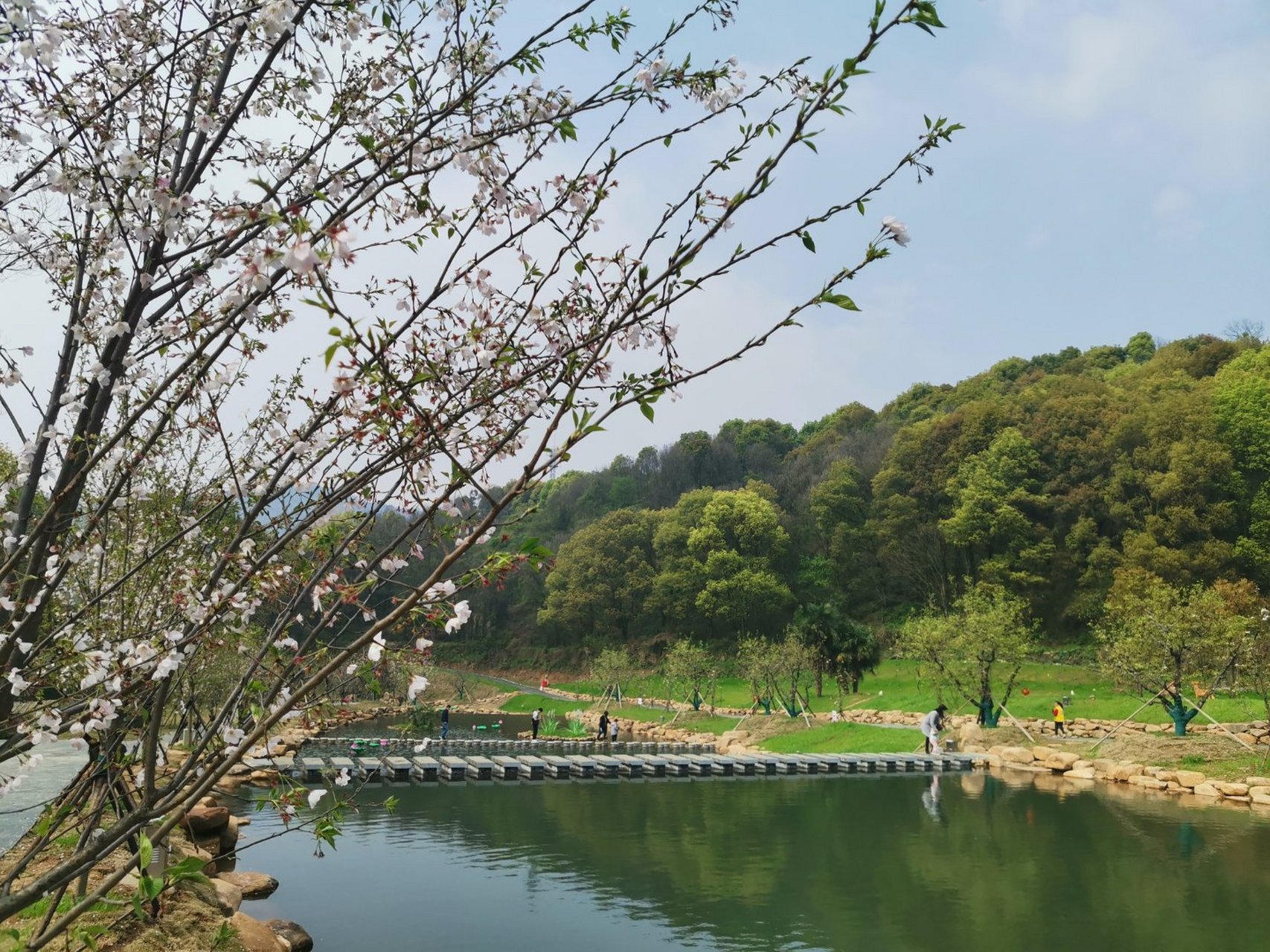 游东方山梨花峪图片