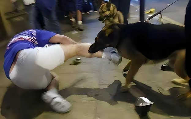 乌鲁木齐"狗咬人反赔1