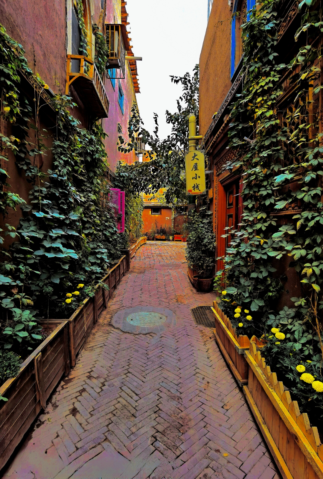 走街串巷看小巷人家 快来感受这宁静而古老的街道吧!