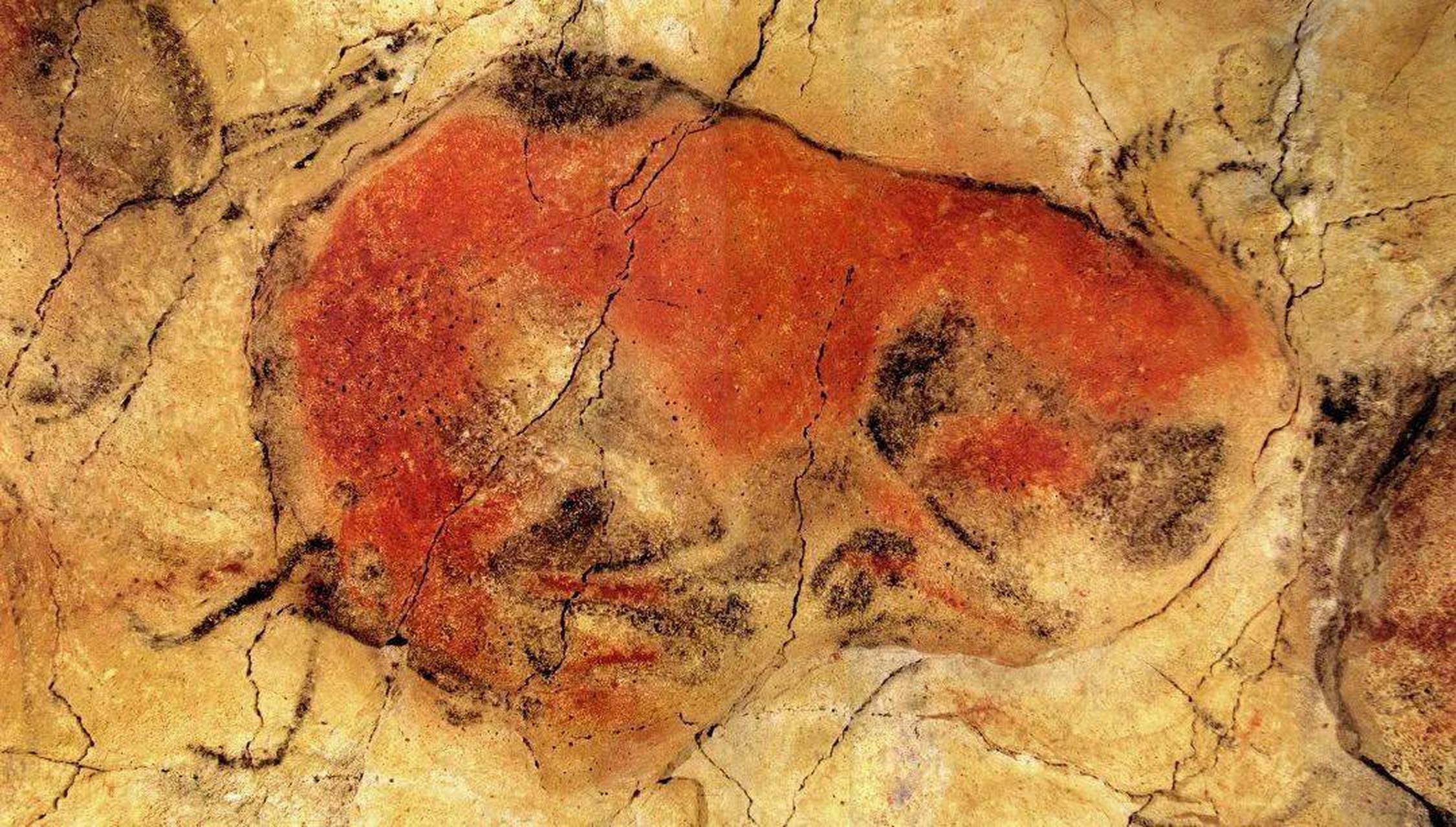 《受伤的野牛》 能相信吗?