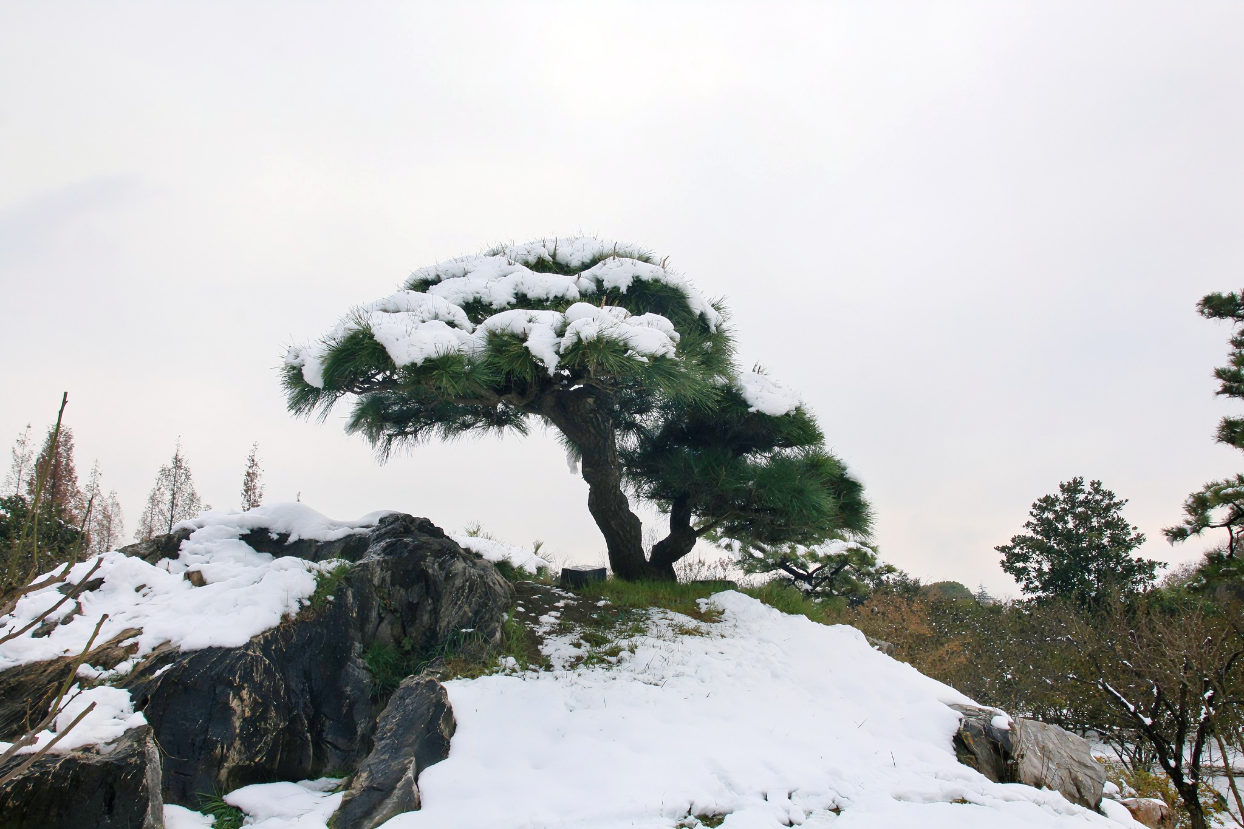 扬州雪景高清图片图片