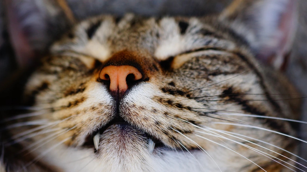 我一闭眼世界都黑了,我一睁眼世界都亮了,我不是主角是什么  2.