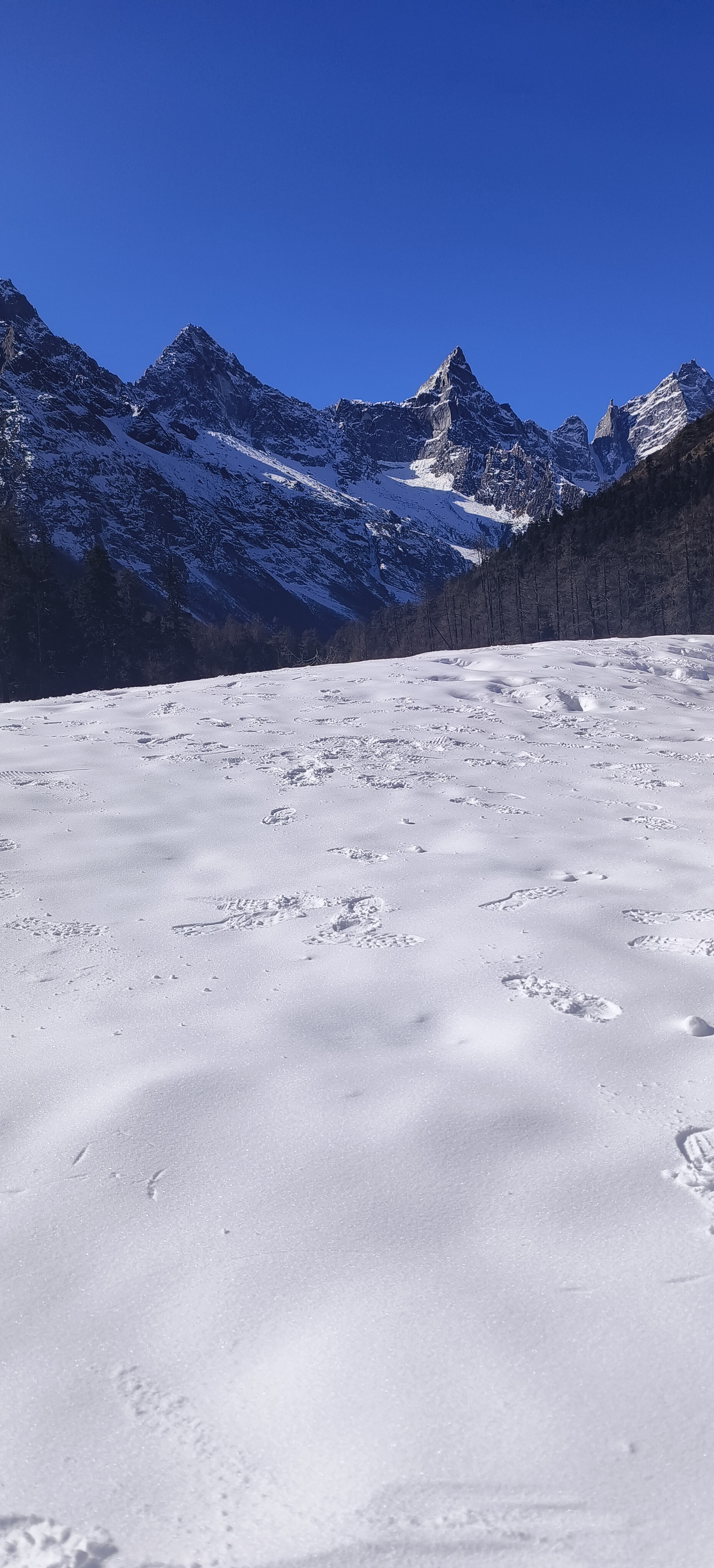 高山晶莹雪图片