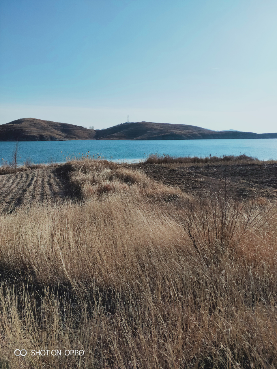 北大洋,西大洋水库