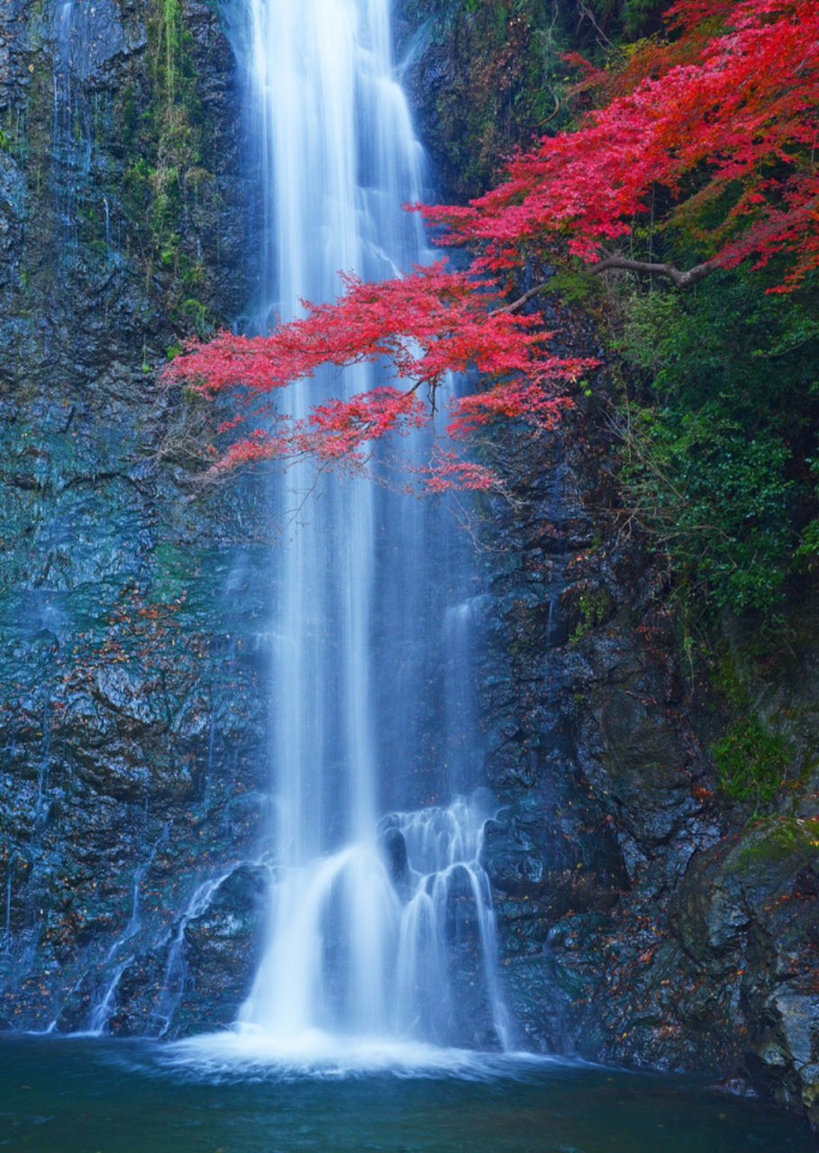 无题 高山流水诵梵音, 绿酒红尘累煞人.