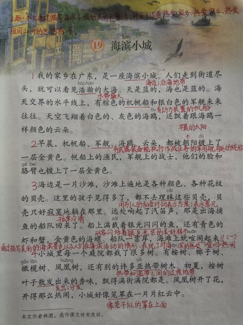 三年级语文上册第19课《海滨小城》课堂笔记,美丽整洁的海滨小城.