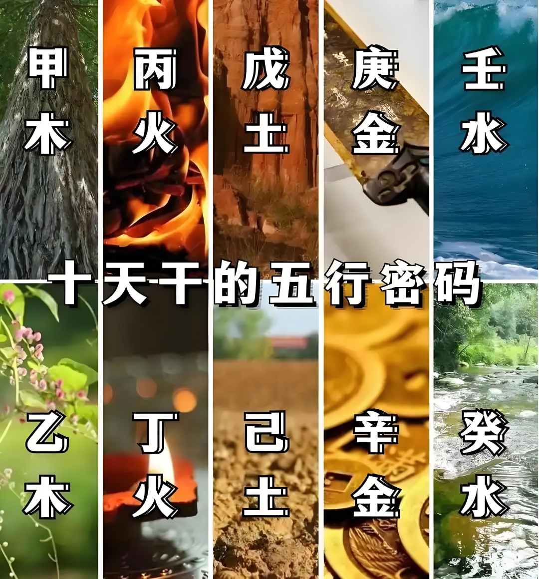 庚金 说一不二,大男子主义 辛金 比你还精直鹨夷就计咽旄傻募 