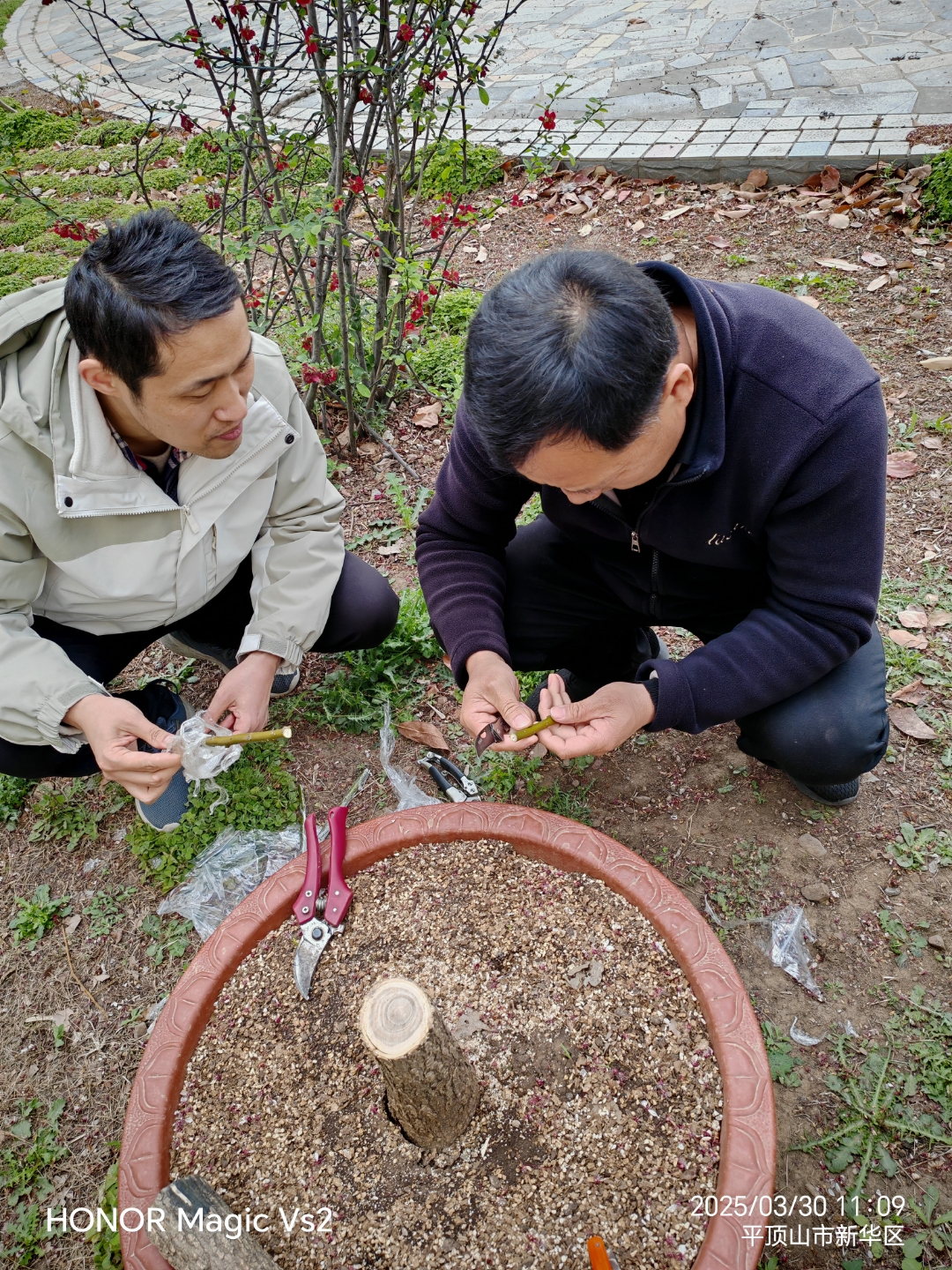 河南城建学院生命科学与工程学院与平顶山市风景园林学