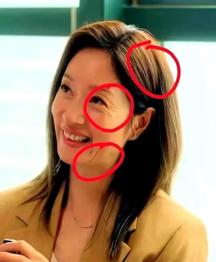 毛燥的头发,炸开花的鱼尾纹,深重的嘴角纹,这些无不透露着沧桑的