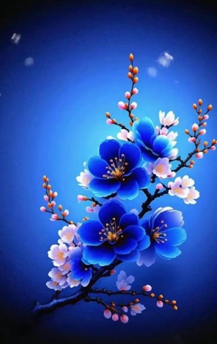 绝美而小见到的蓝色梅花.