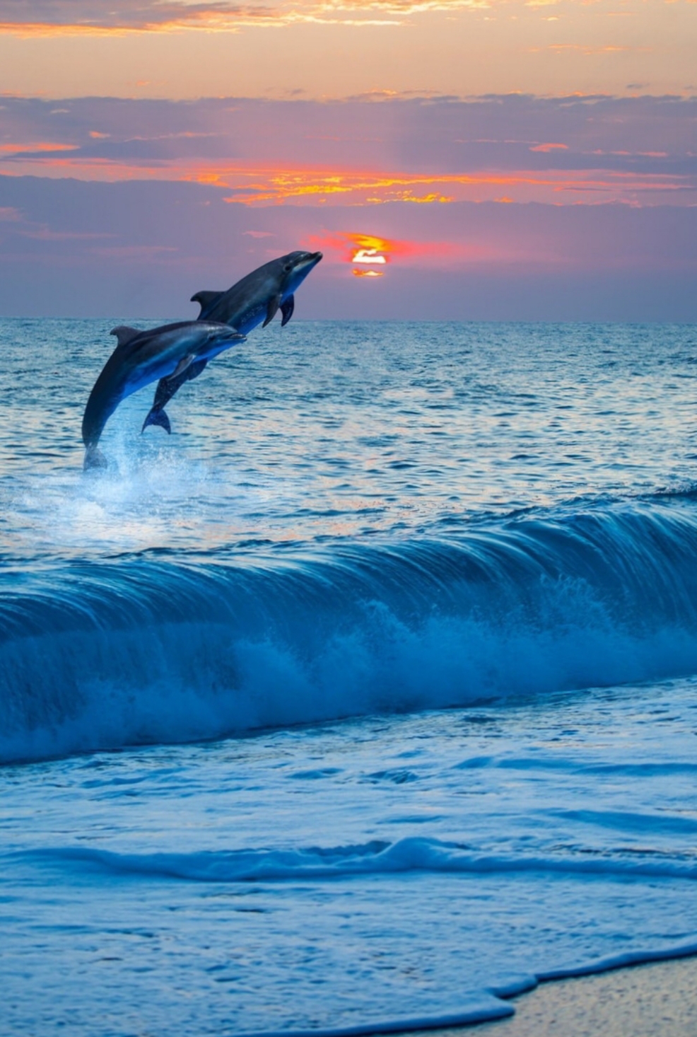 浩渺无垠,广袤壮阔的大海,如万马奔腾,震撼着人们的心灵.