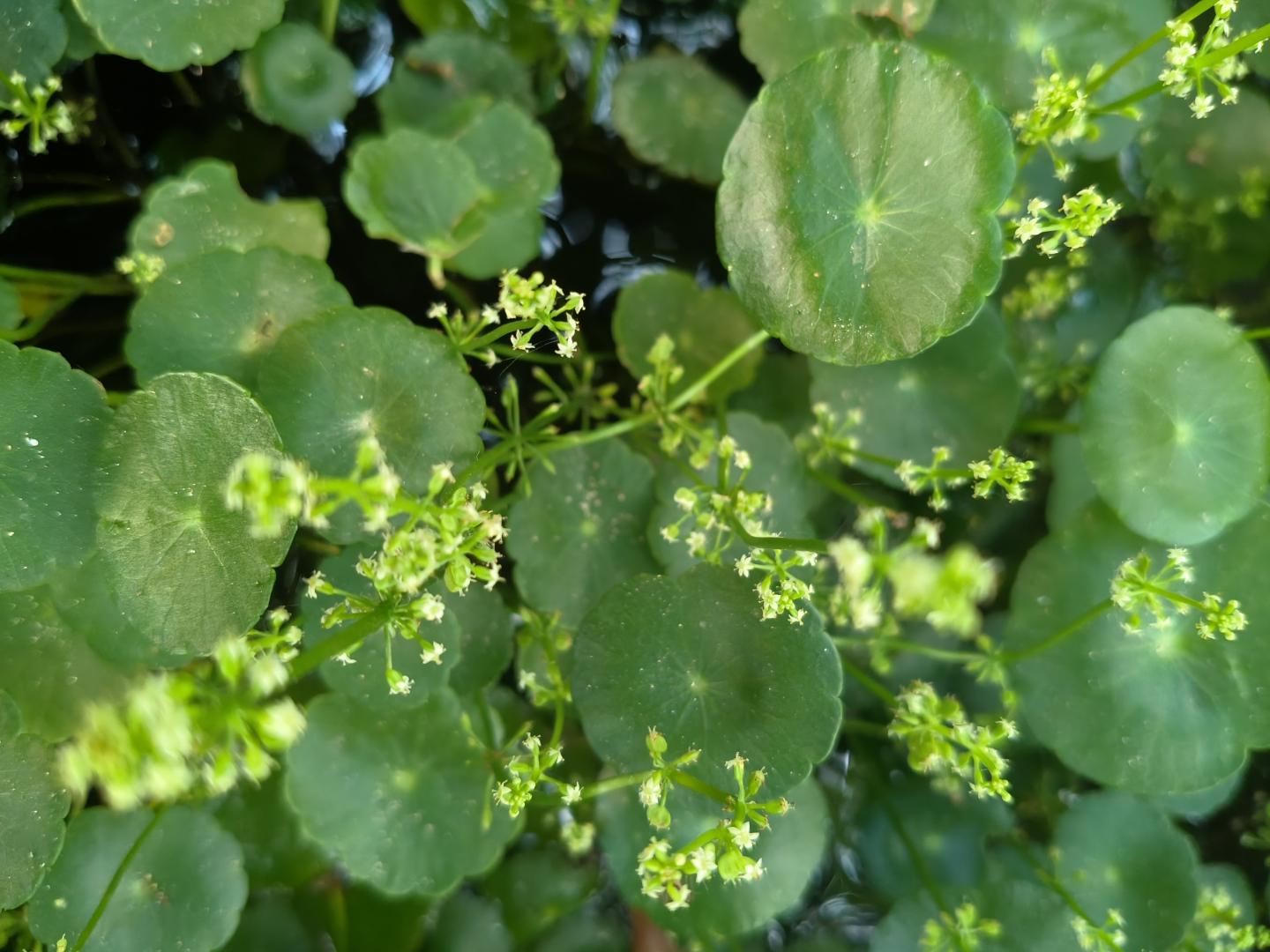 人生是一场体验,人生更是一段心理成长之路