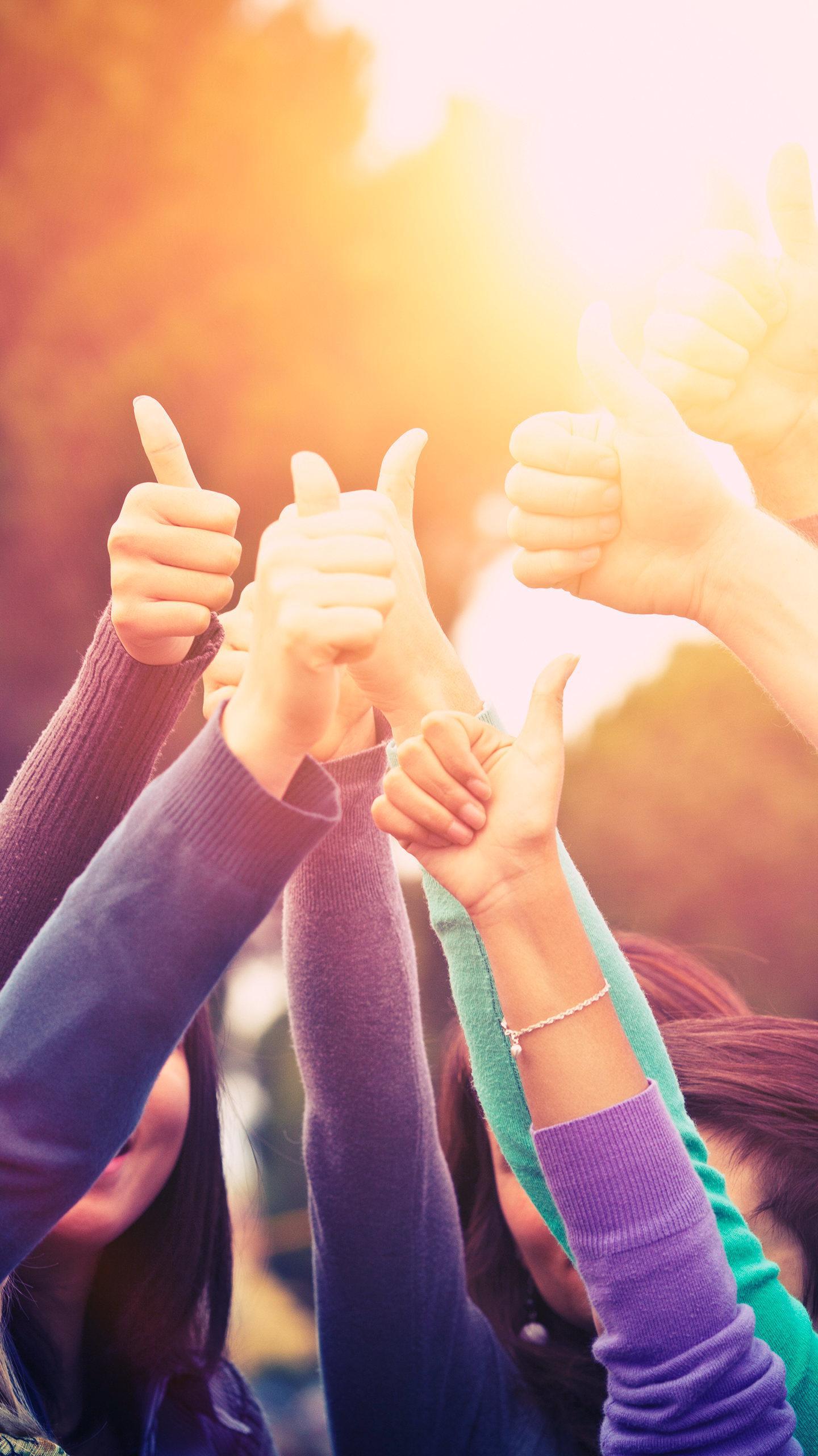 《五律·学友再聚》 傳冀 劫后青城聚,相逢孟夏时