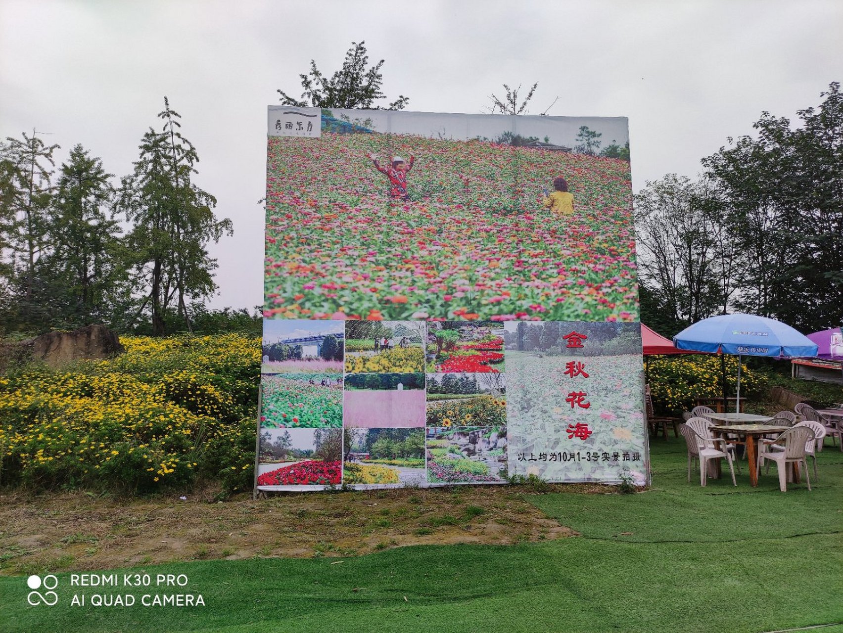 最美周边游# 成都东南边三环旁的秀丽东方开始收门票了,每个人20壳