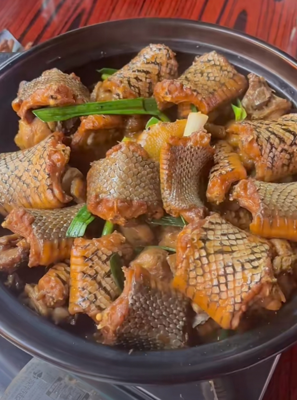 蛇肉啊,吃完会不会有种在肚子里游走的感觉#蛇# #蛇类万能话题# #涨