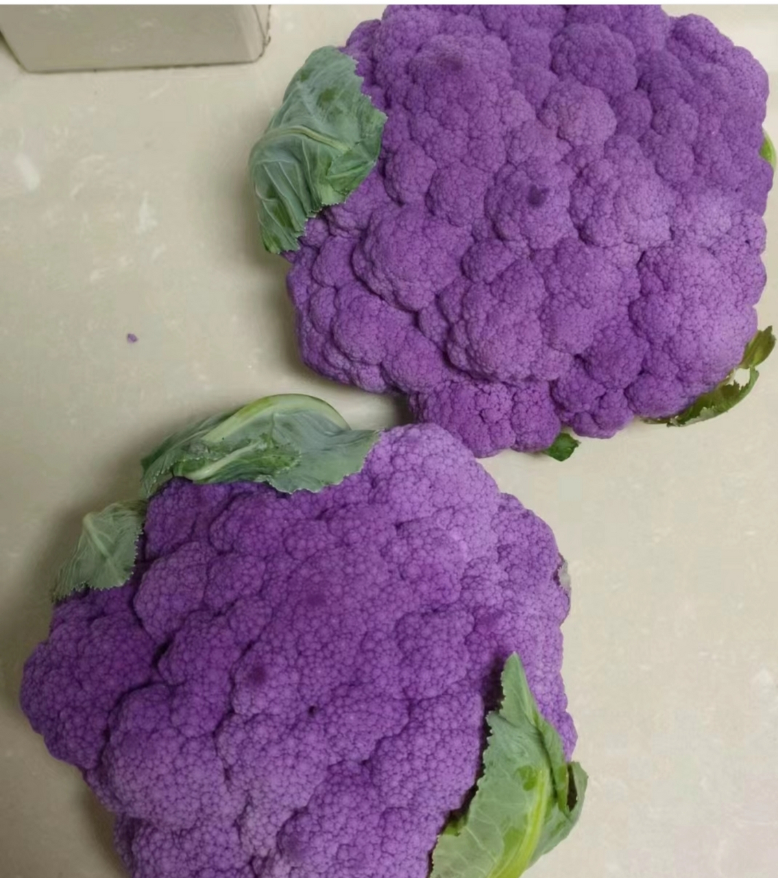 紫色花菜真漂亮,可是能吃吗?