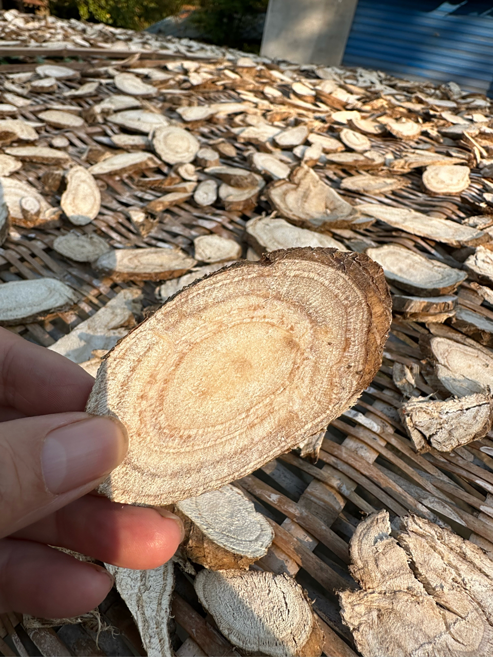 葛根片,用来泡水喝,可以降糖降血脂降血压.也可以治疗痛风,清热解毒