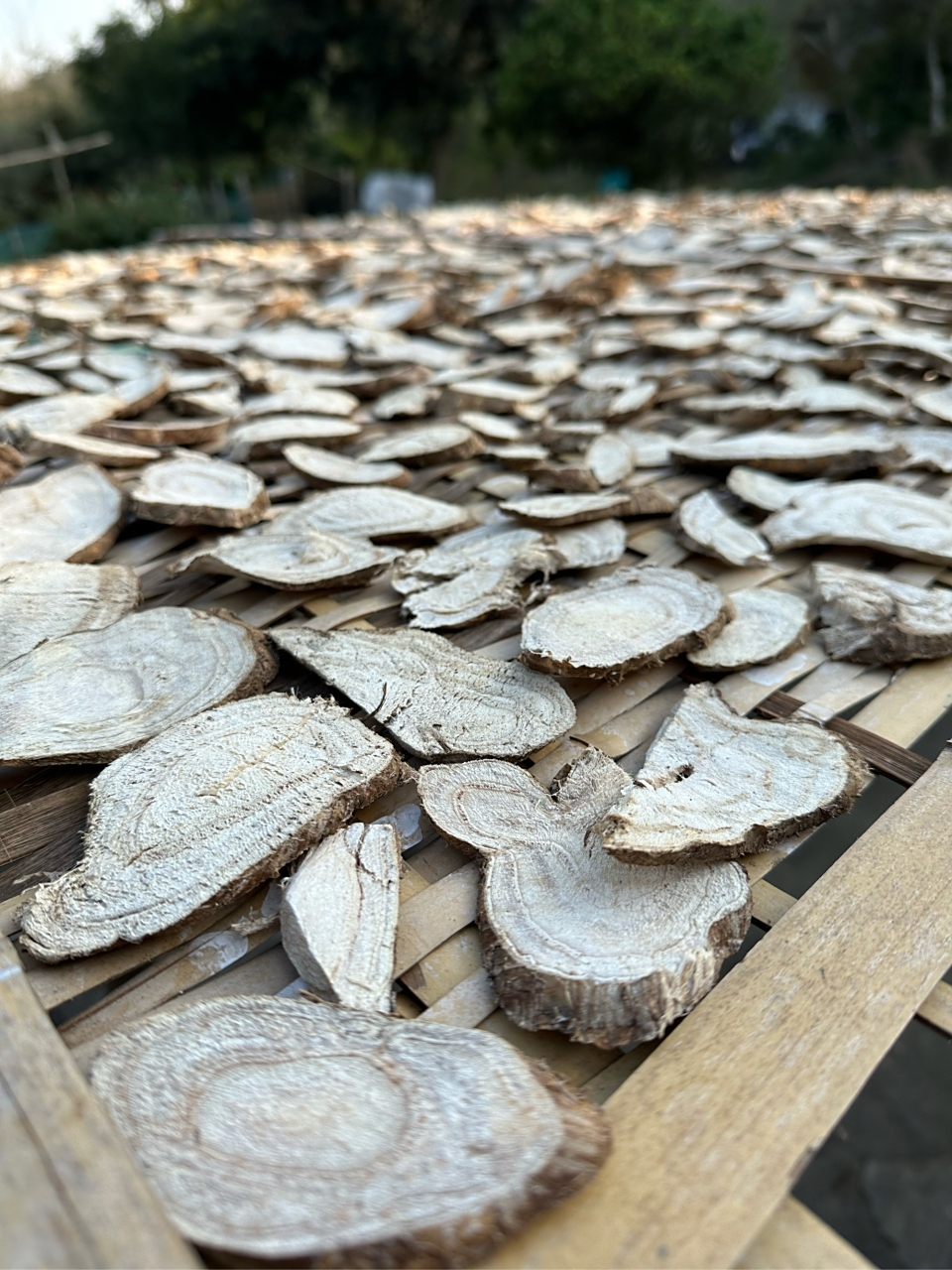 葛根片,用来泡水喝,可以降糖降血脂降血压.也可以治疗痛风,清热解毒