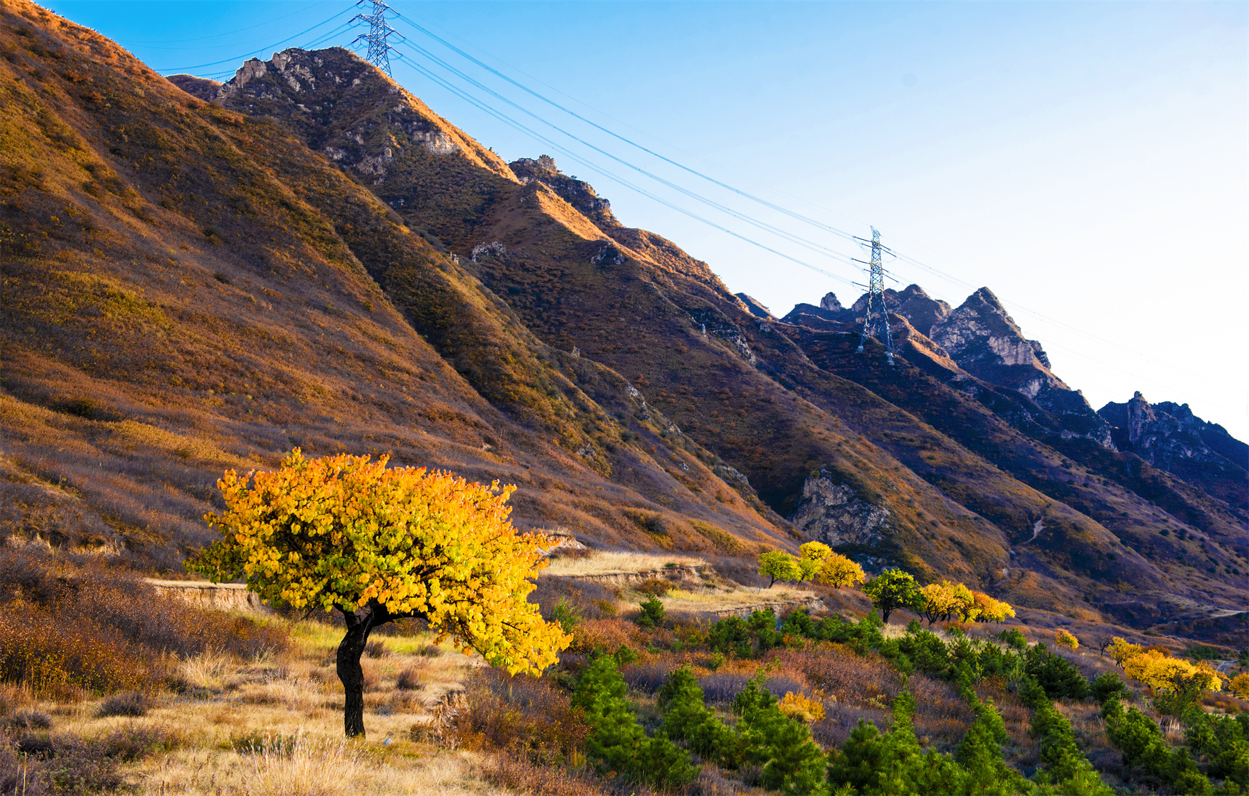 翠屏山奇峰异谷雄伟险要,高原草甸植被富饶,生态资源独特,素有"观史蔚