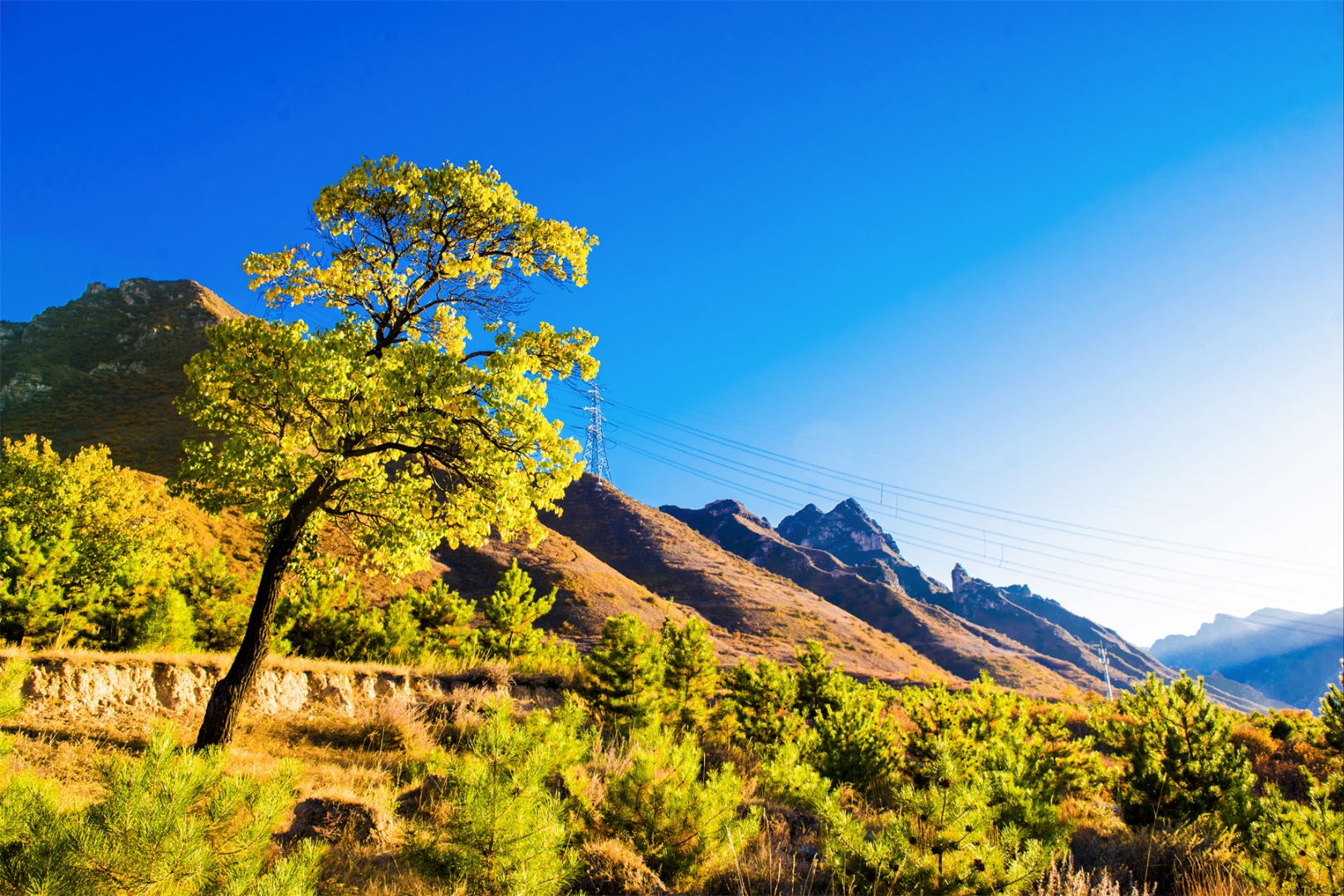翠屏山奇峰异谷雄伟险要,高原草甸植被富饶,生态资源独特,素有"观史蔚