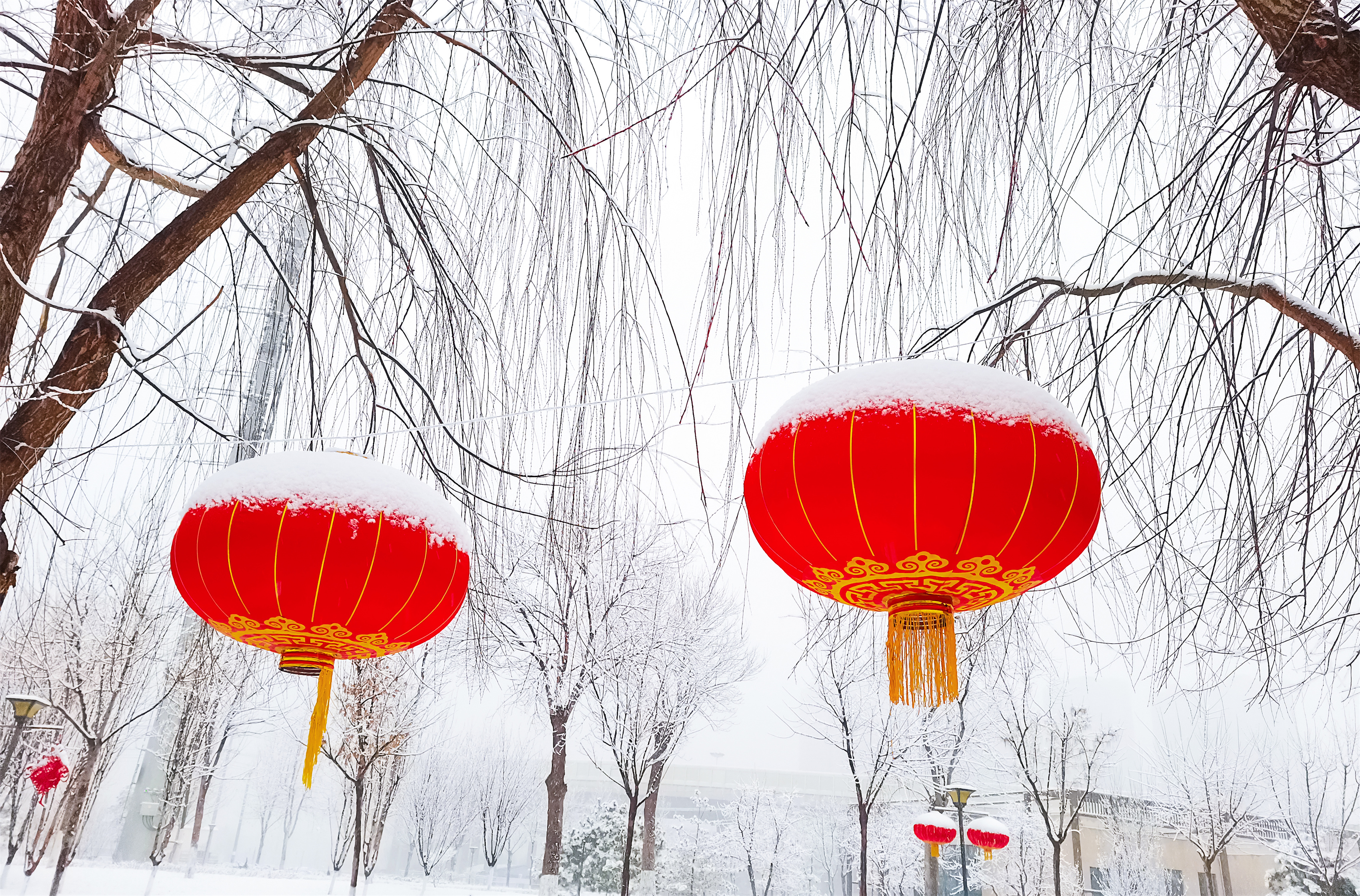 雪打灯笼过大年图片