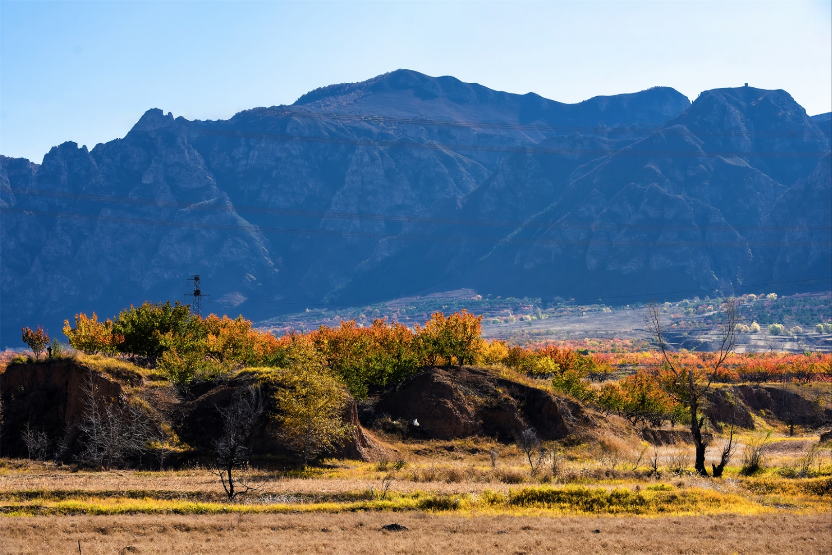 翠屏山奇峰异谷雄伟险要,高原草甸植被富饶,生态资源独特,素有"观史蔚