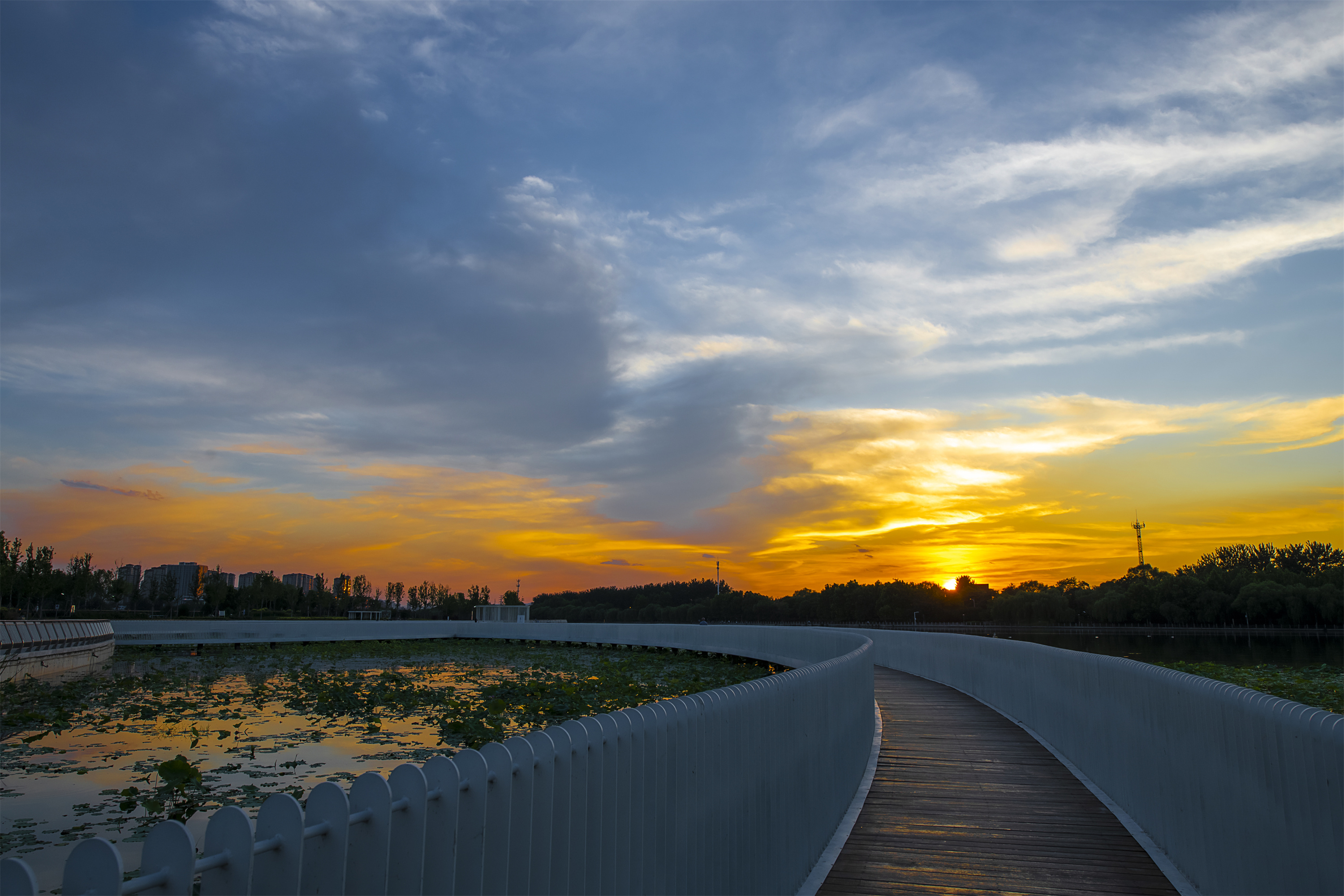 滹沱夕照～#石家庄# 太平河风景区.