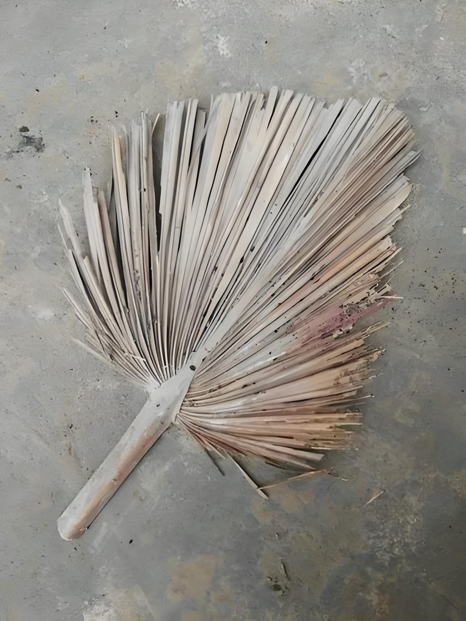 现在蒲扇还在,可最爱我的奶奶却离开了.