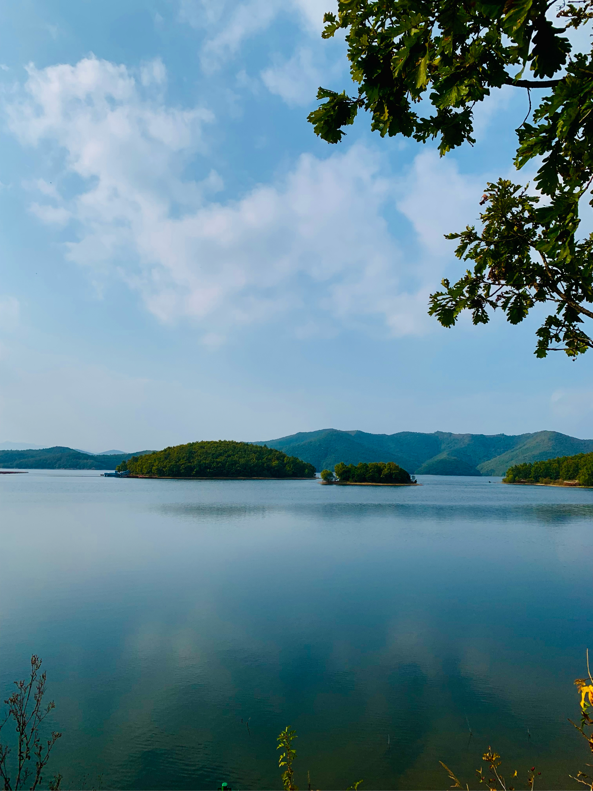 大连碧水流香图片