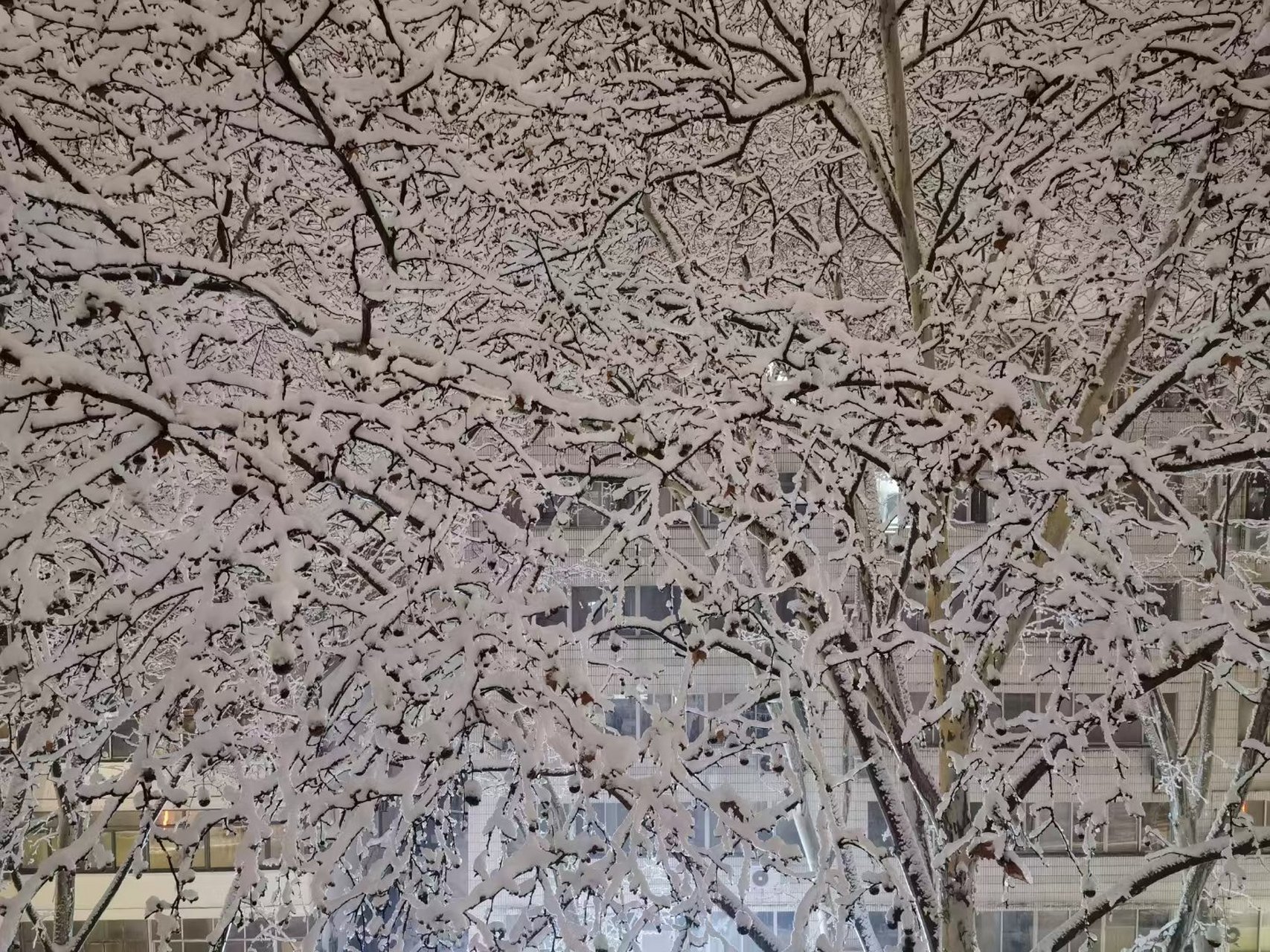 《雷雪 春雷春雪夜 玉成冬雪梦 开窗迎雪花 出门闹雪灯.