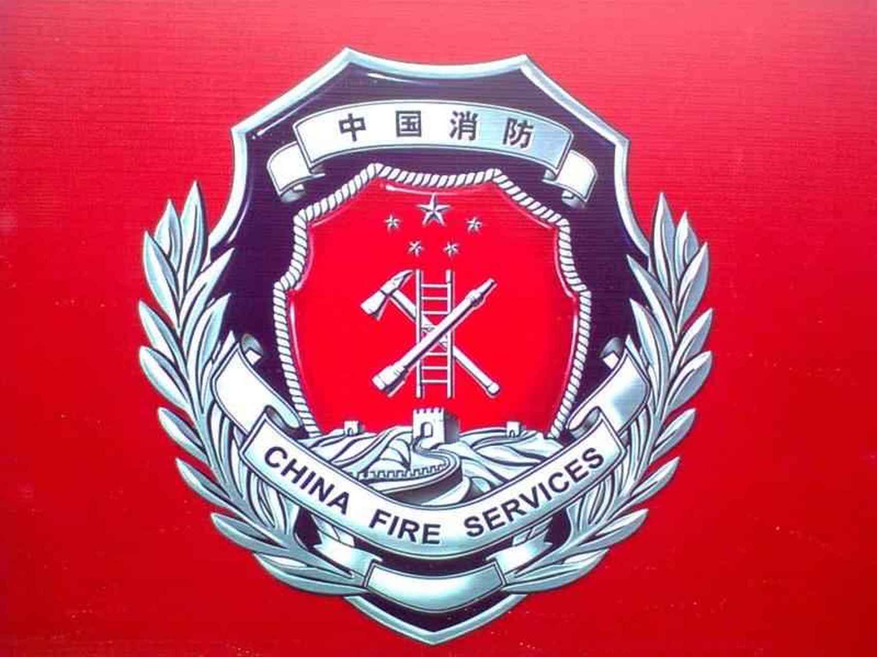 中国消防节# 国徽的设计,徽标中间的"消防斧,云梯,水栓"具有很堑哪