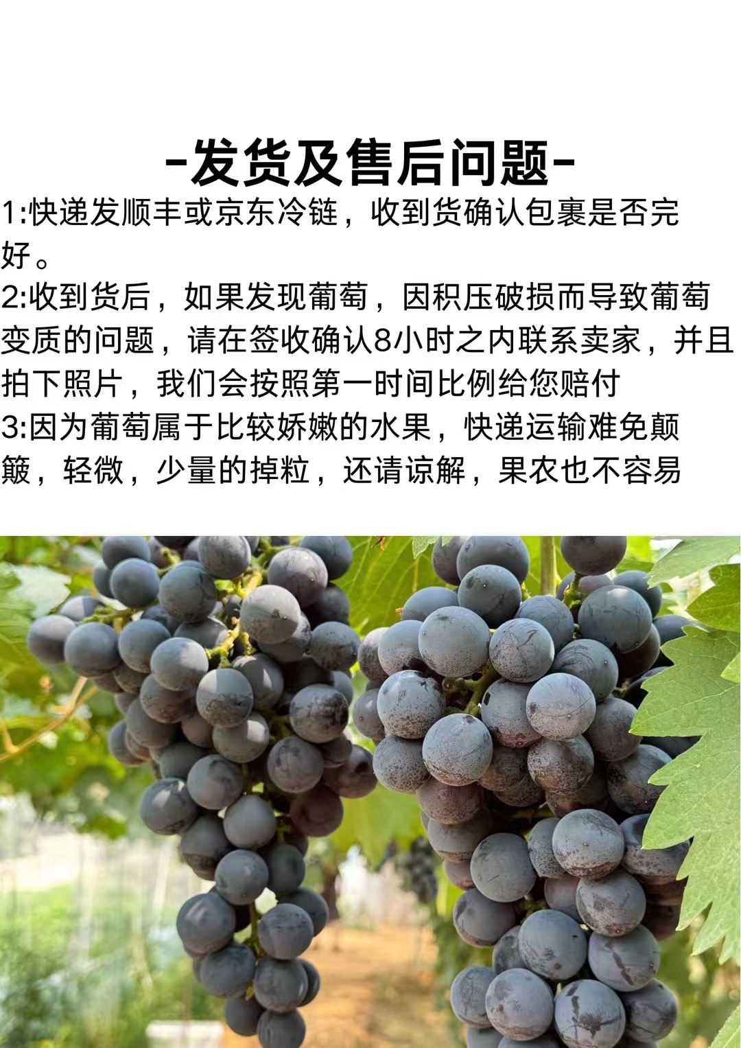 红酒原产地证明瓶身(红酒原产地证明是什么) 红酒原产地证明瓶身(红酒原产地证明是什么)