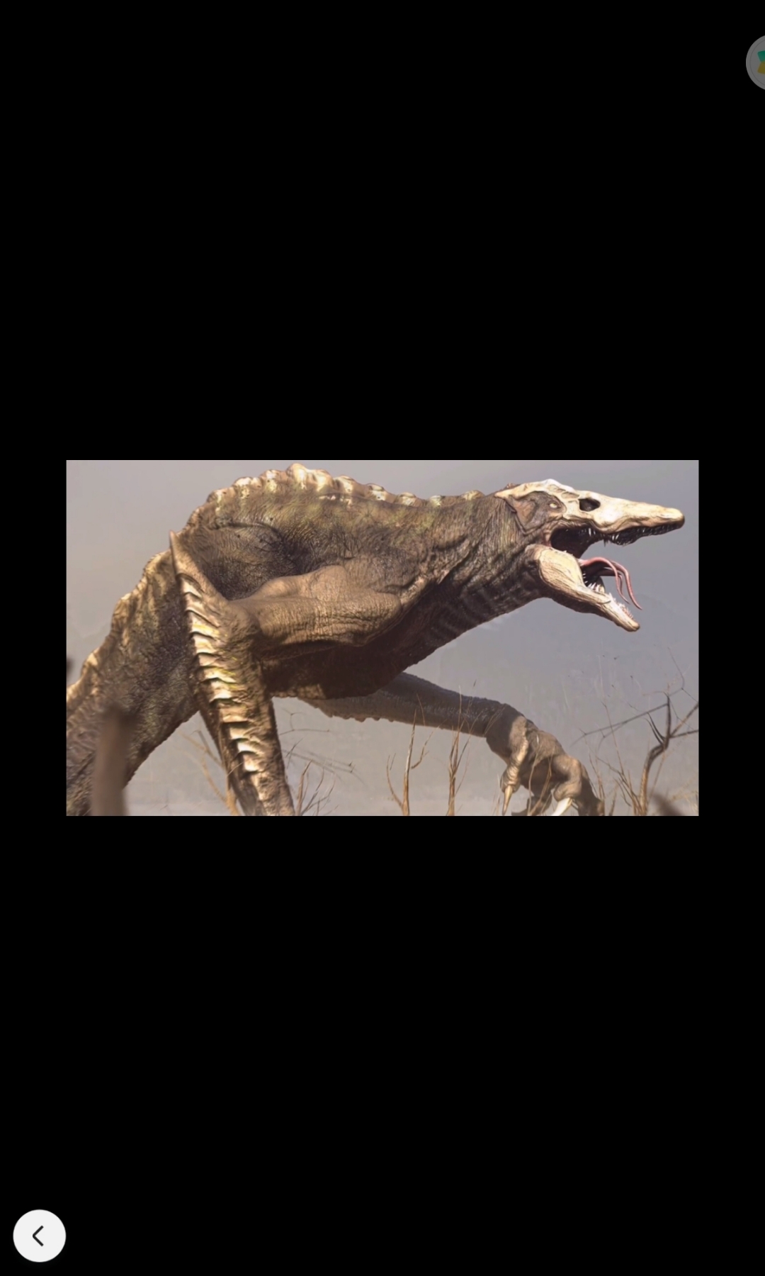 骷髅巨蜥王图片一只图片