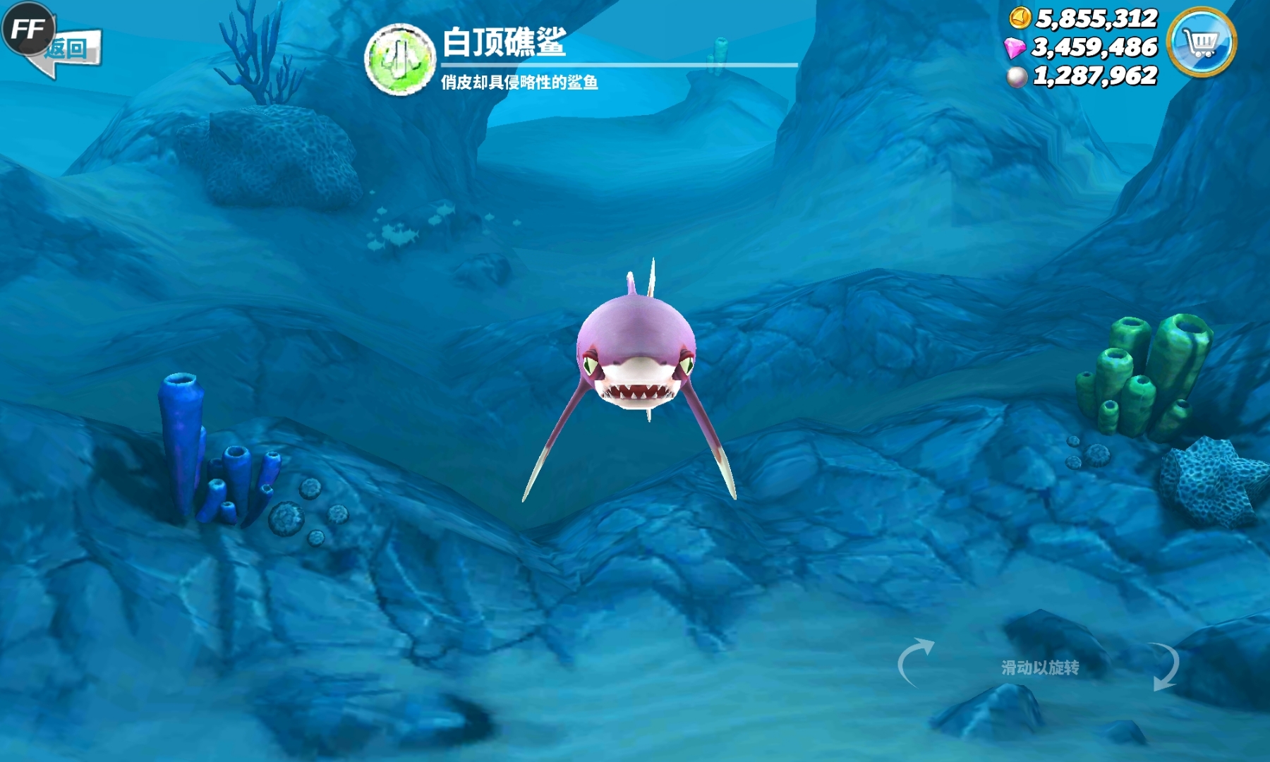 粉丝们,今天我们来看看饥饿鲨世界里面所有鲨鱼的各种技能介绍 伯爵鲨