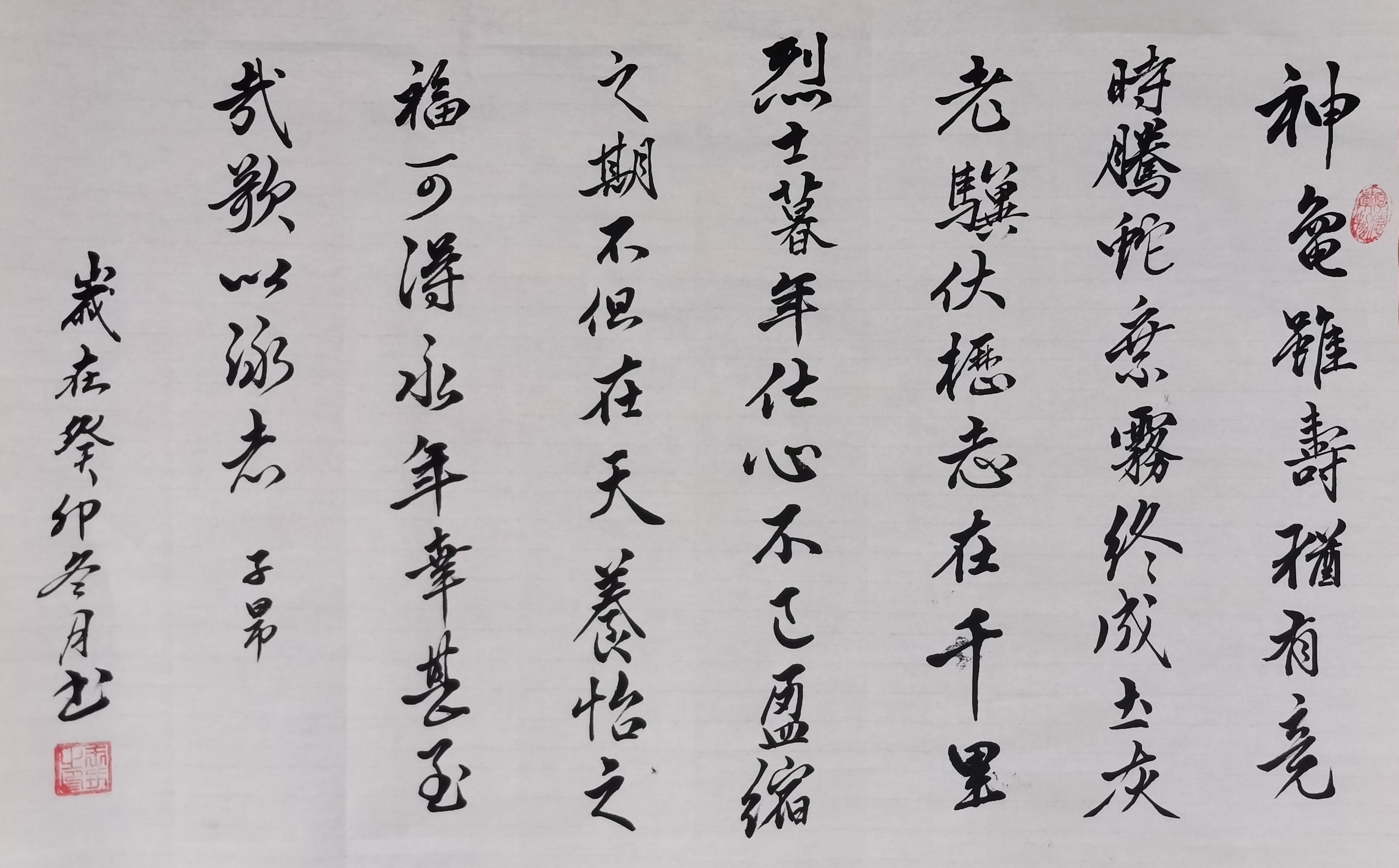 临赵孟頫《龟虽寿》