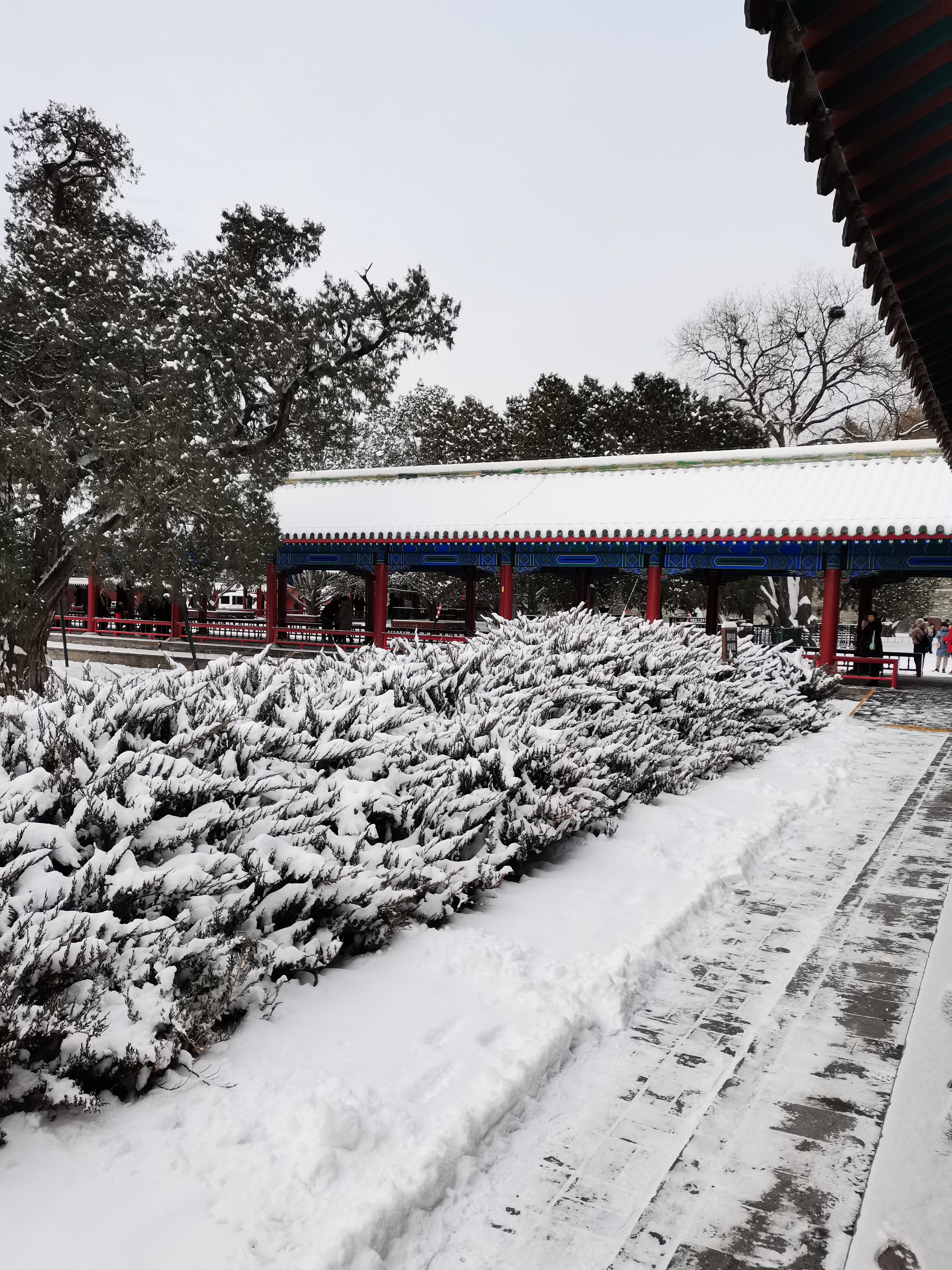 2022北京最美雪景图片