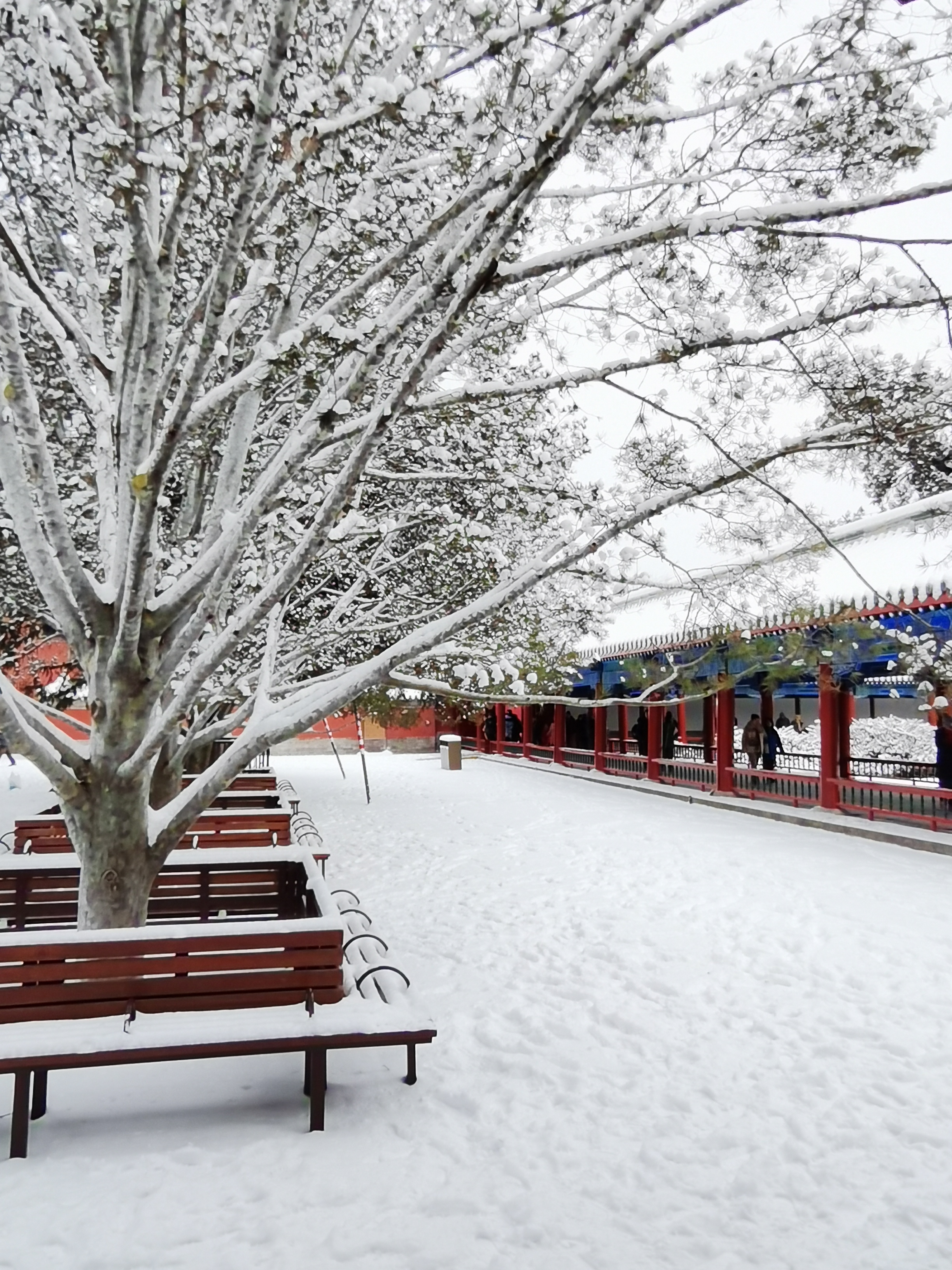 2022北京最美雪景图片