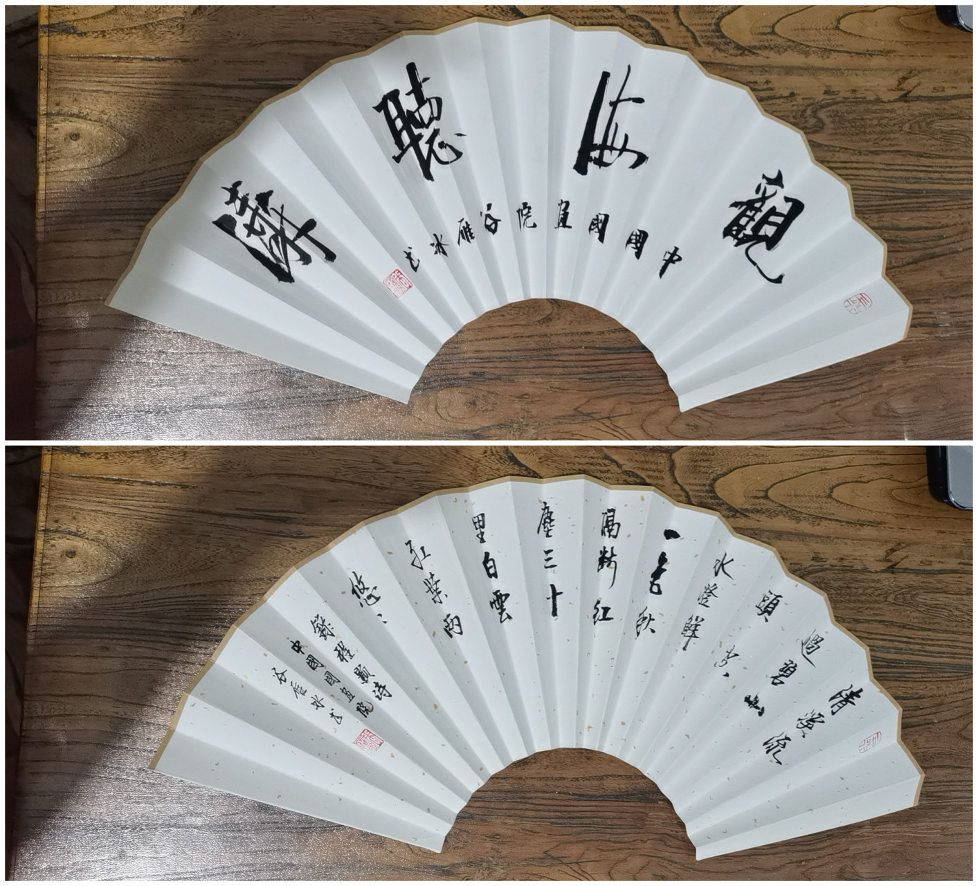 谷雁冰老师扇面品鉴