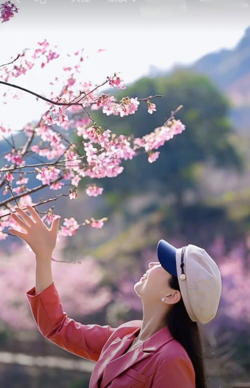 女子落语樱花图片