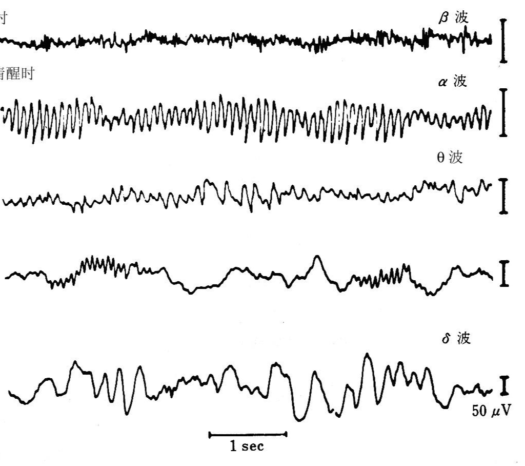 近日,上海复旦大学一女生到派出所报案,称自己被同校一男生通过脑电波