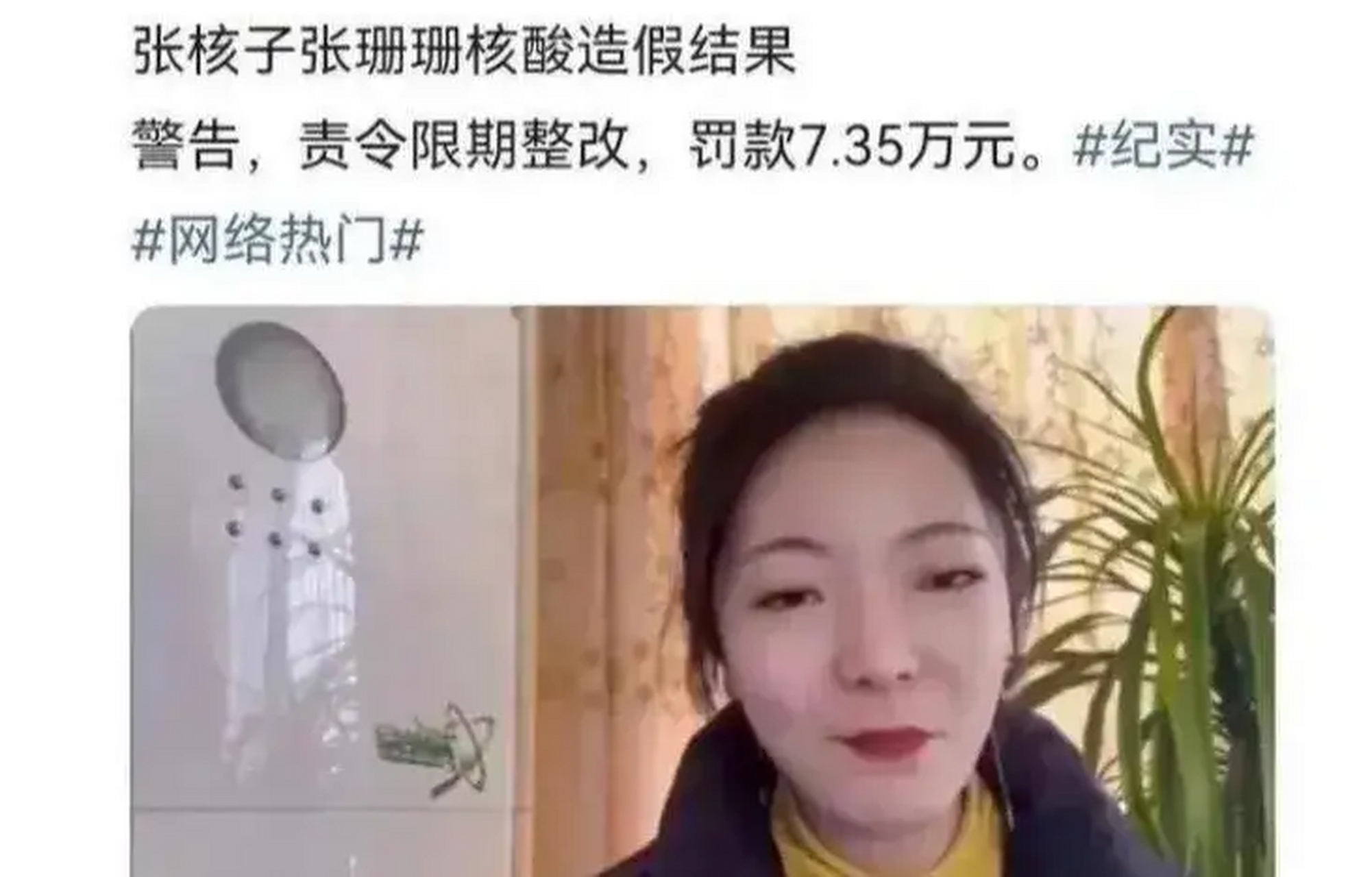 張珊珊,張核子核酸檢測造假處罰結果:責令整改,罰款7.35萬.