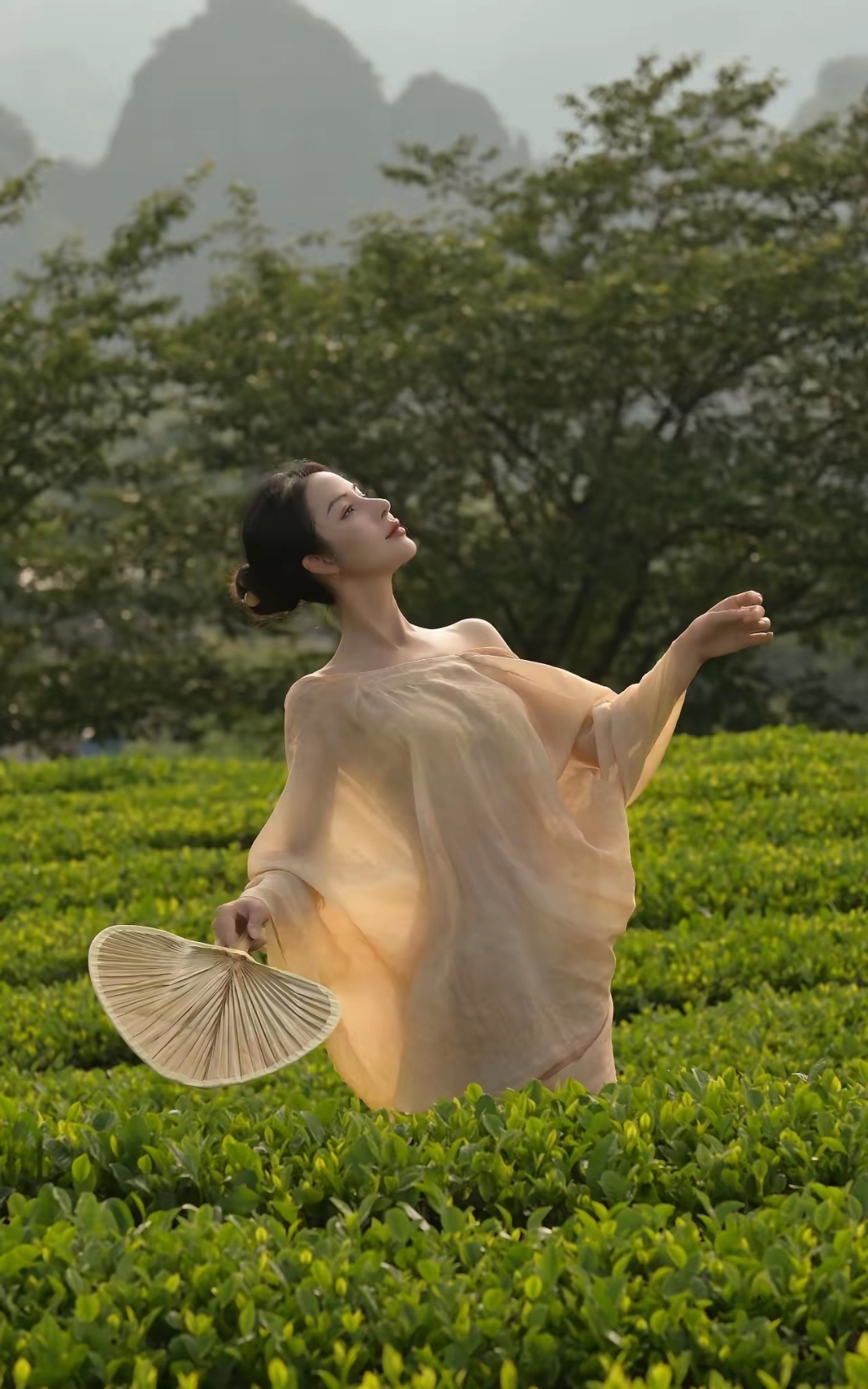 茶如人生,苦尽甘来!