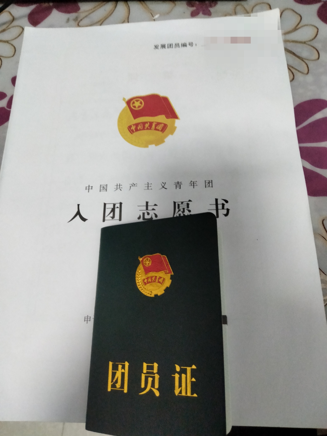 入团志愿书上的照片图片