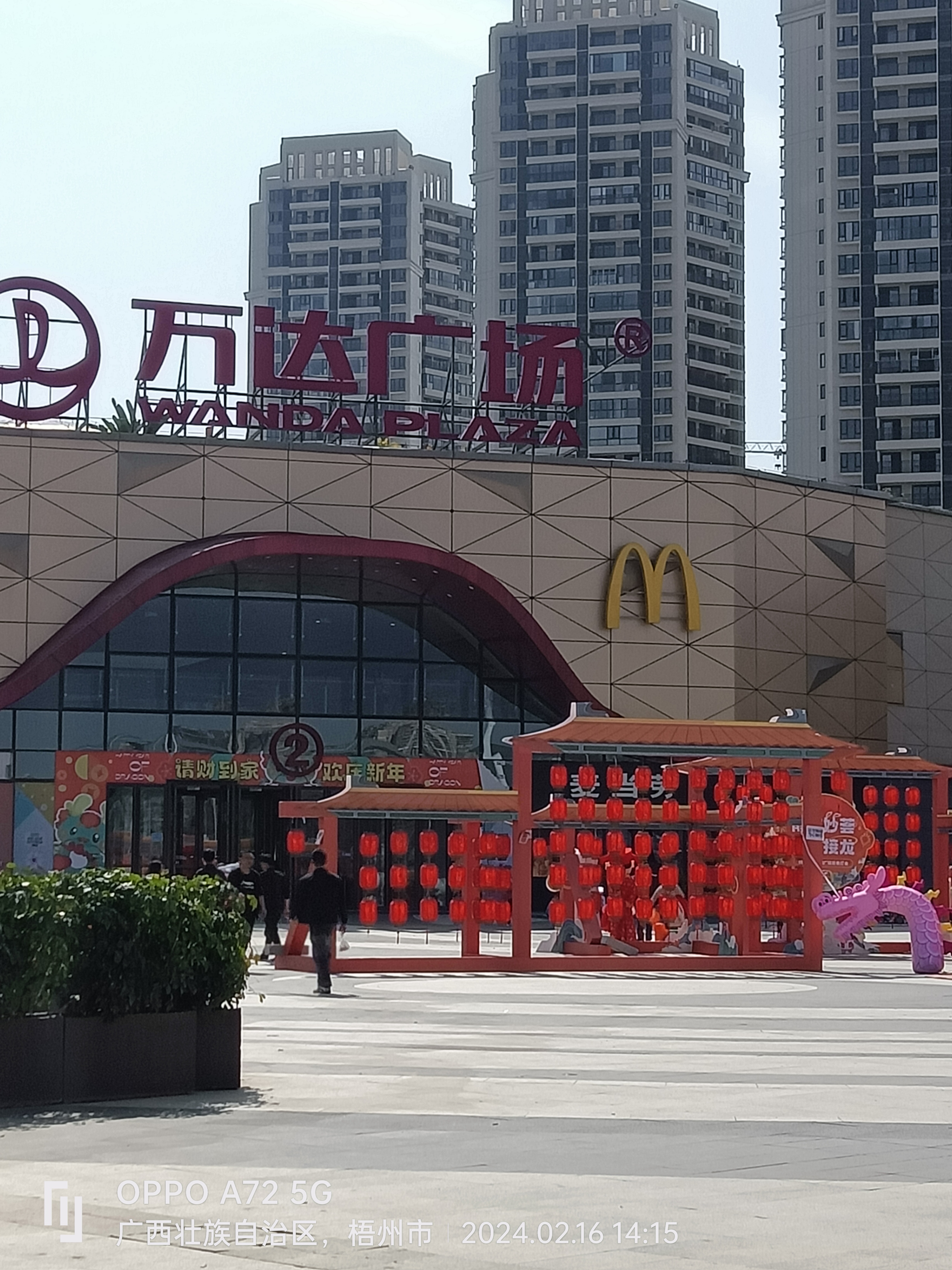 龙年春节期间,梧州万达广场周边道路装扮得繁花似锦