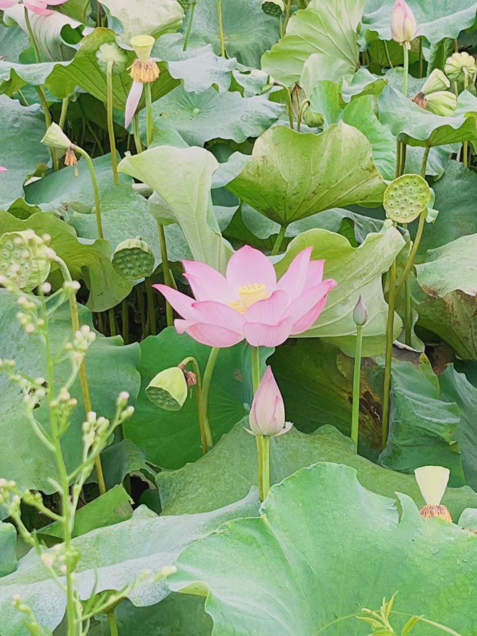 事后的反应再迅疾 也比不上未雨绸缪