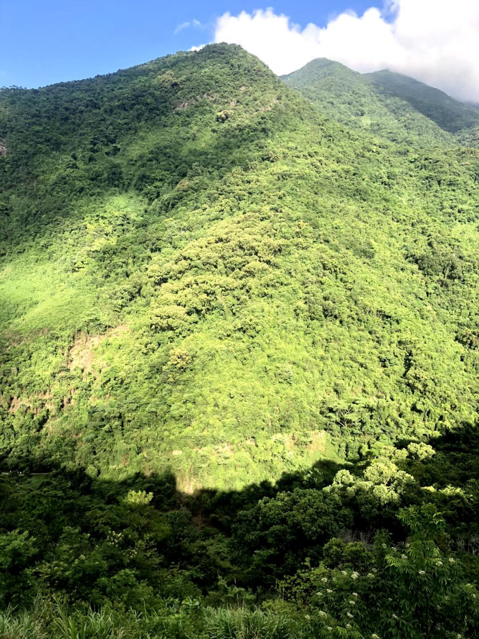 深圳·康美物语品牌创始人王久源 随拍·晴了山