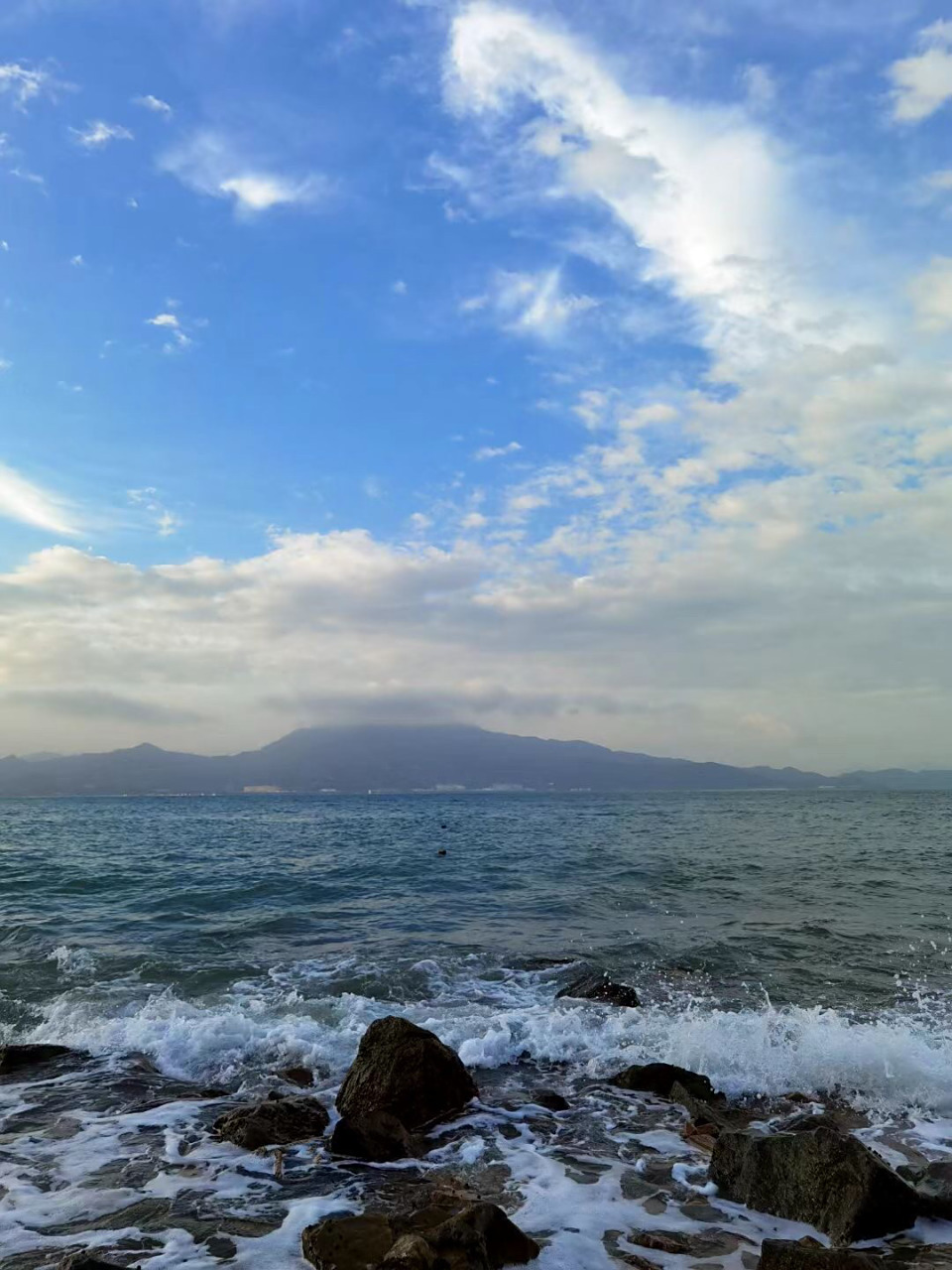 康美物语创始人王久源 随拍·出海