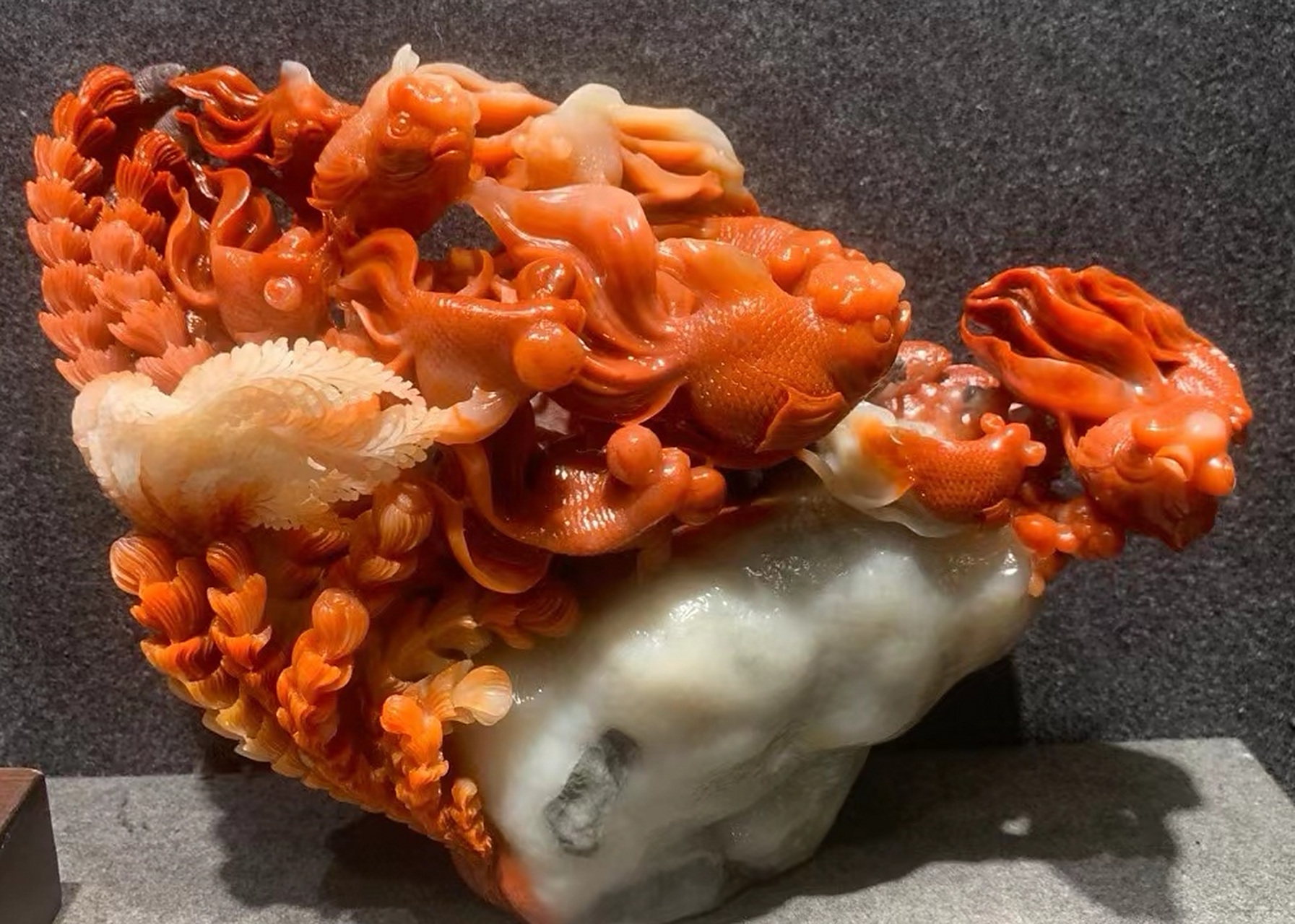 "✨海洋之心,邂逅浪漫珊瑚石💕"