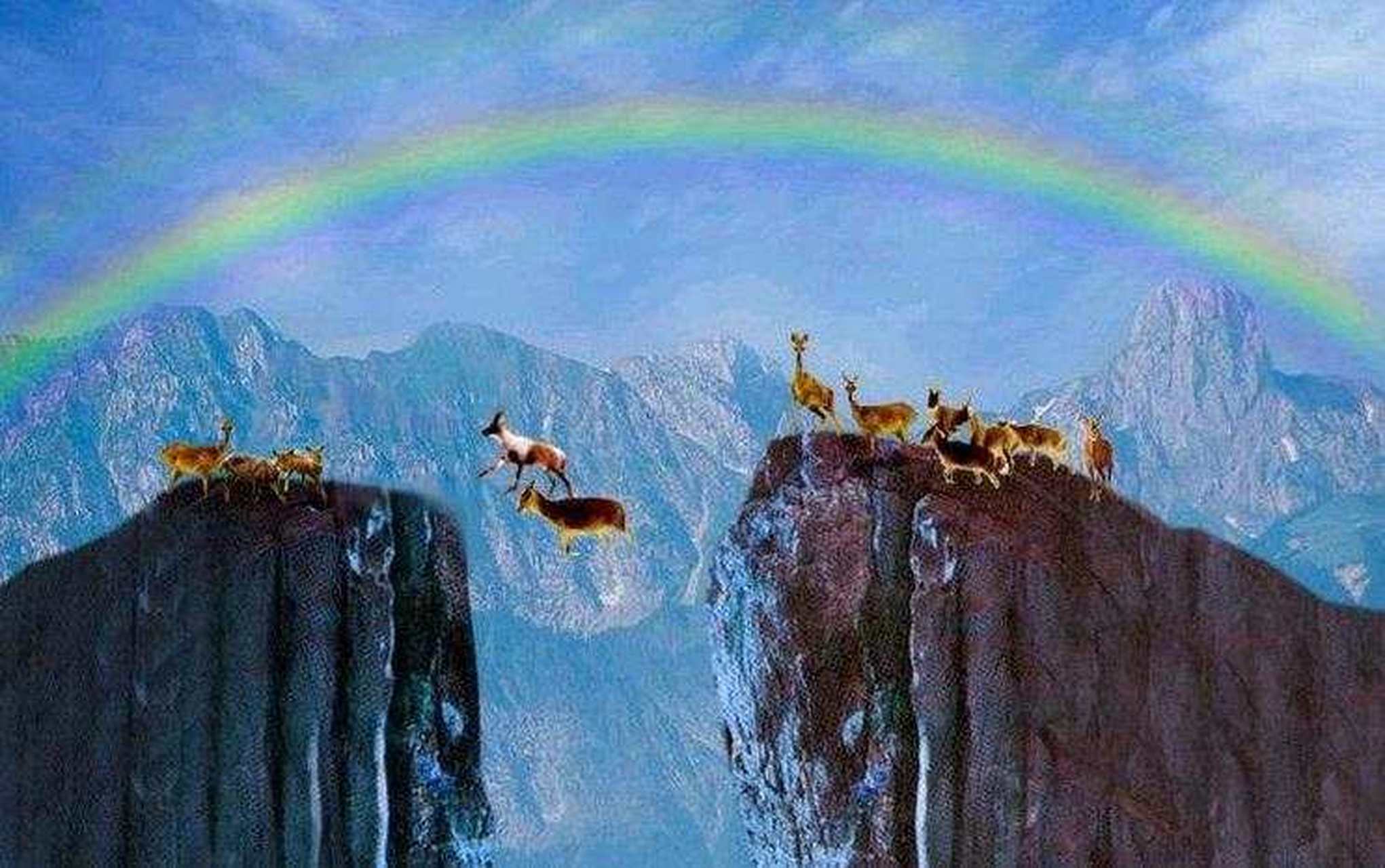 请大家欣赏《羚羊飞渡》